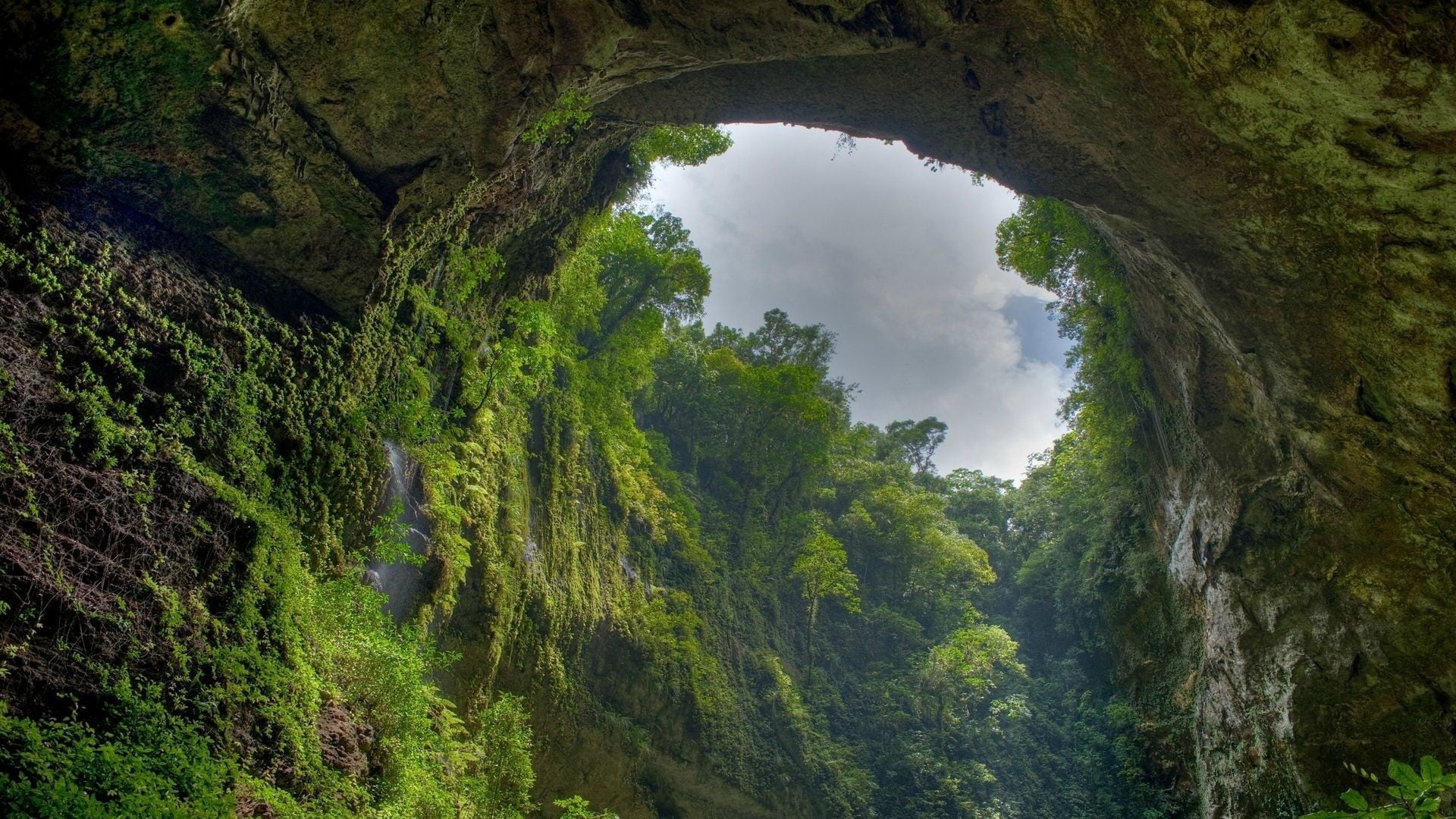 environment, 1080P, no people, plant, day, nature, canal, forest, woodland, arch, tranquility, growth, scenics - nature, green, architecture, sky, land, HD Wallpaper