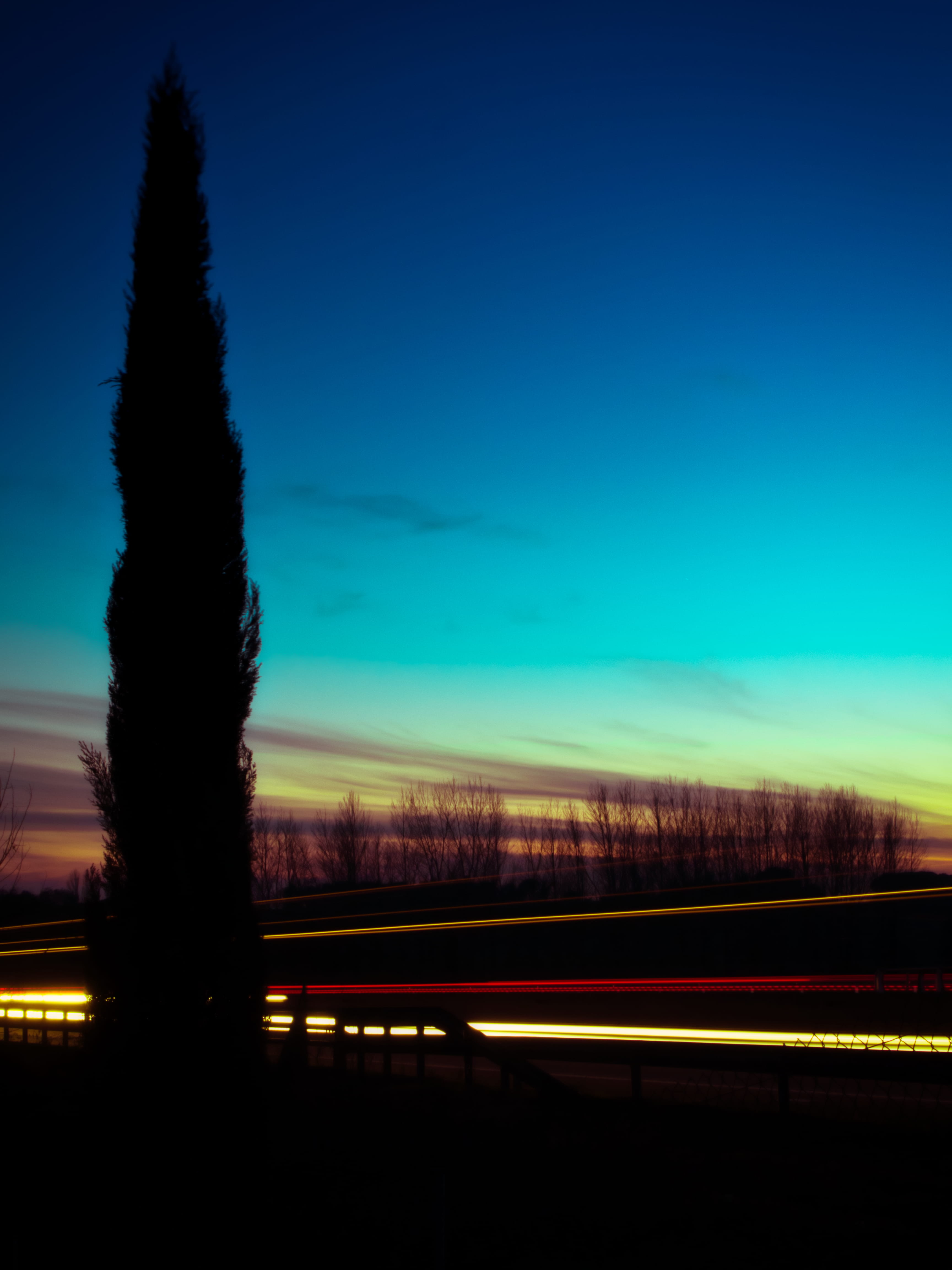 plant, shoot, clear sky, car, light, large exposure, nature, tranquility, night photography, dusk, beauty in nature, tree, golden hour, road, no people, Phone HD Wallpaper