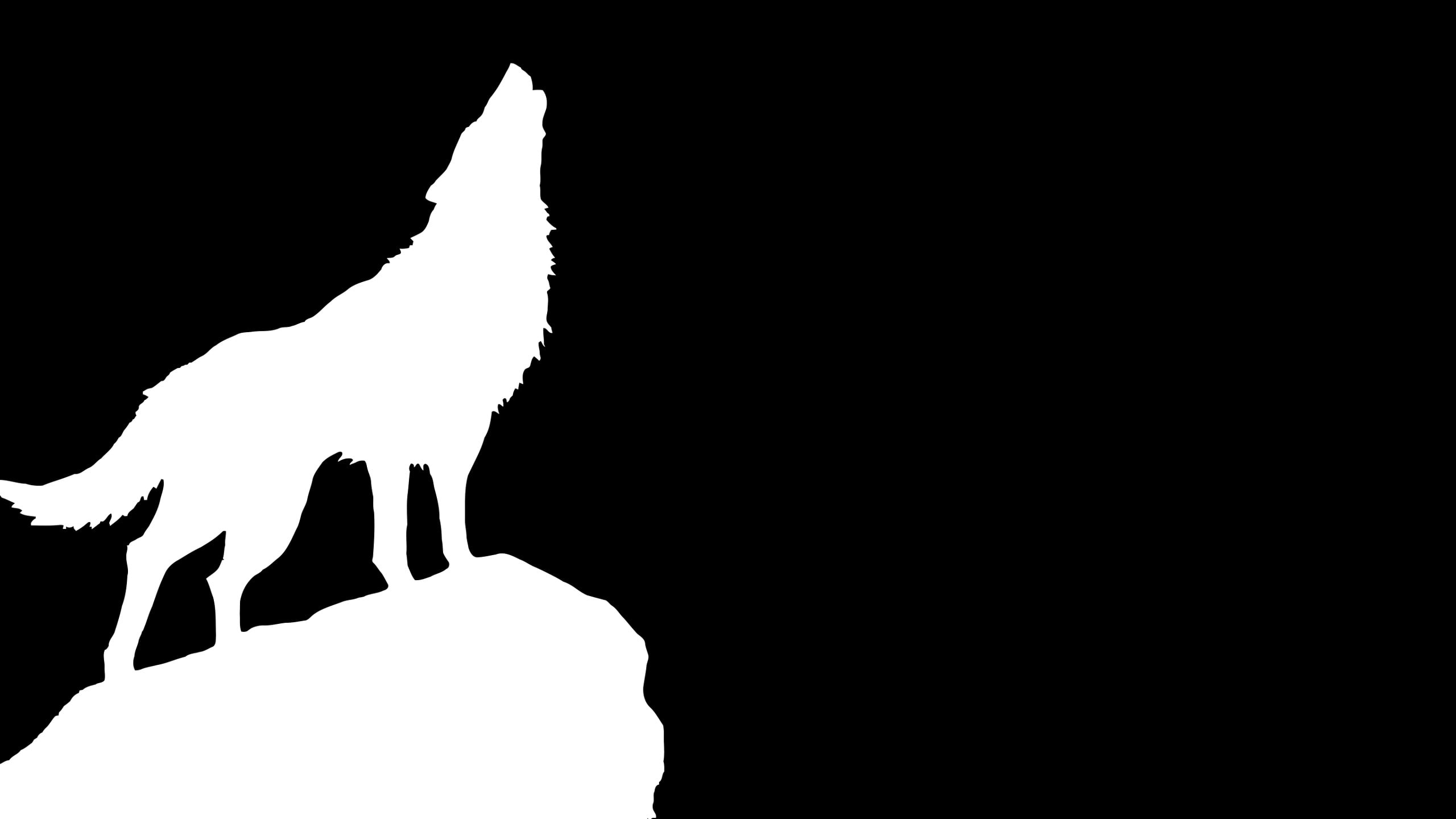 human hand, real people, animal wildlife, bird, one animal, wolf, sky, copy space, cars, 2560x1440 px, lifestyles, chevrolet, px, nature, human body part, HD Wallpaper