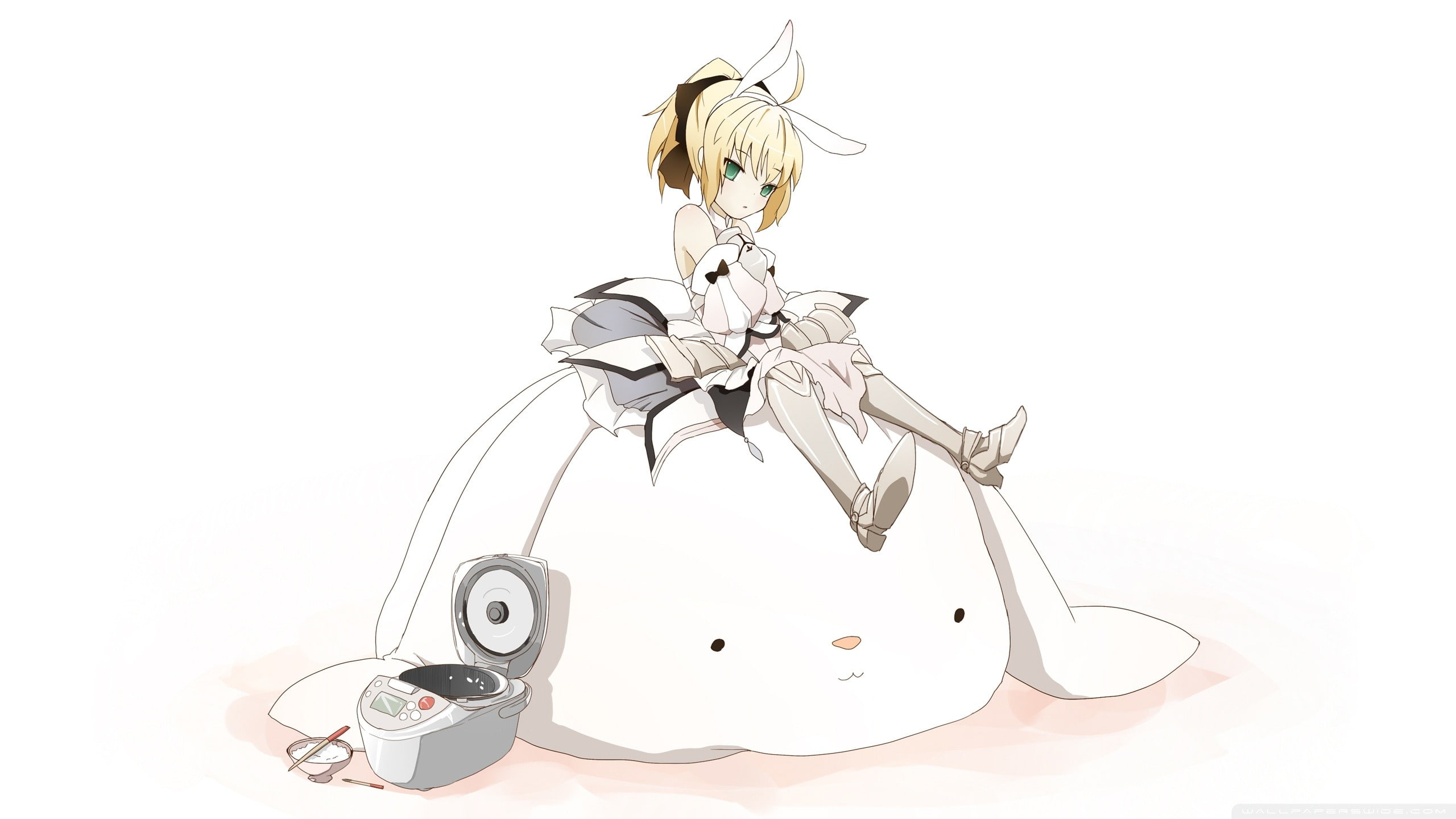 detached, series, type moon, fate, sleeves, ears, animal, 2K, anime, saber, codes, blondes, unlimited, lily, HD Wallpaper