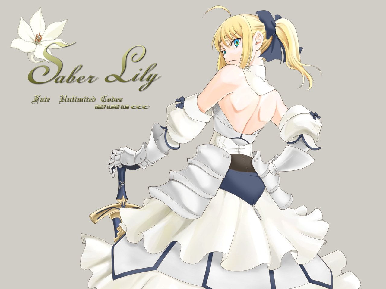 Fate/unlimited codes, human representation, digital composite, adult, emotion, text, Saber Lily, communication, creativity, 720P, one person, dancing, HD Wallpaper