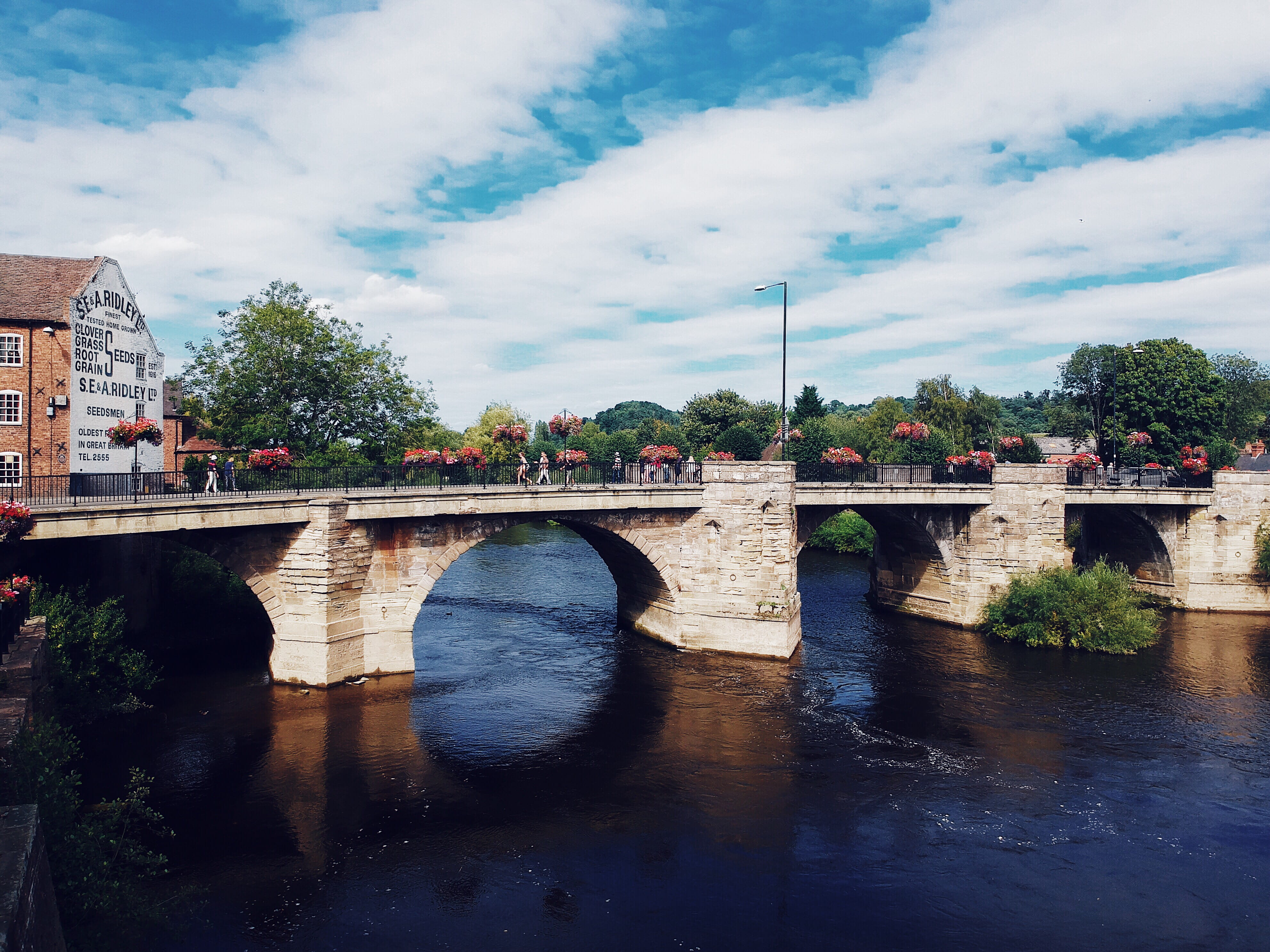 bridge, outdoors, waterfront, water, nature, arch bridge, spark, tree, united kingdom, 4K, connection, engineering, transportation, arch, plant, day, cloud - sky, HD Wallpaper