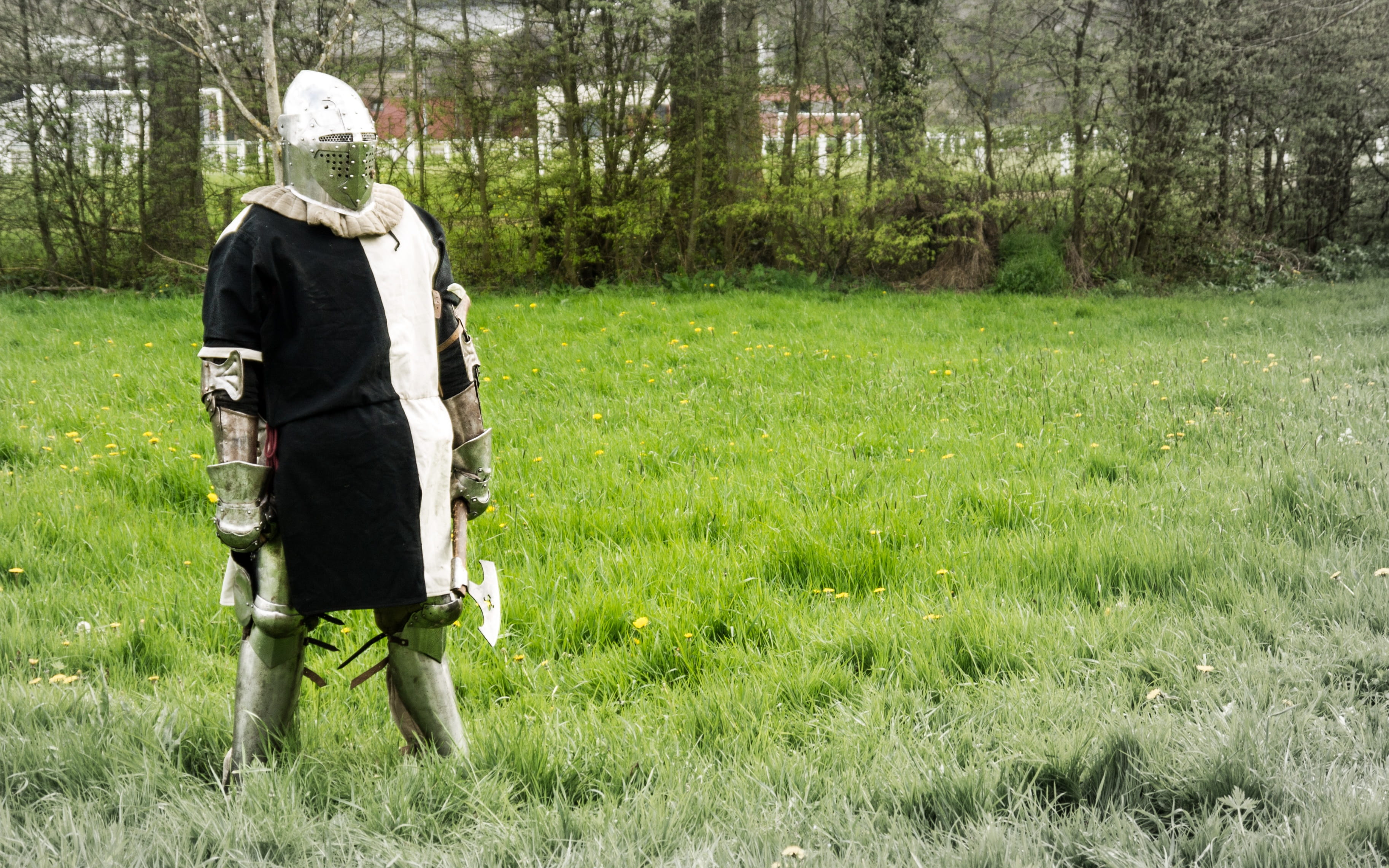 2K, outdoors, templar, grass, combat, Armor, medieval festival, adults only, lifestyles, templars, green color, standing, growth, walking, paladin, adult, HD Wallpaper