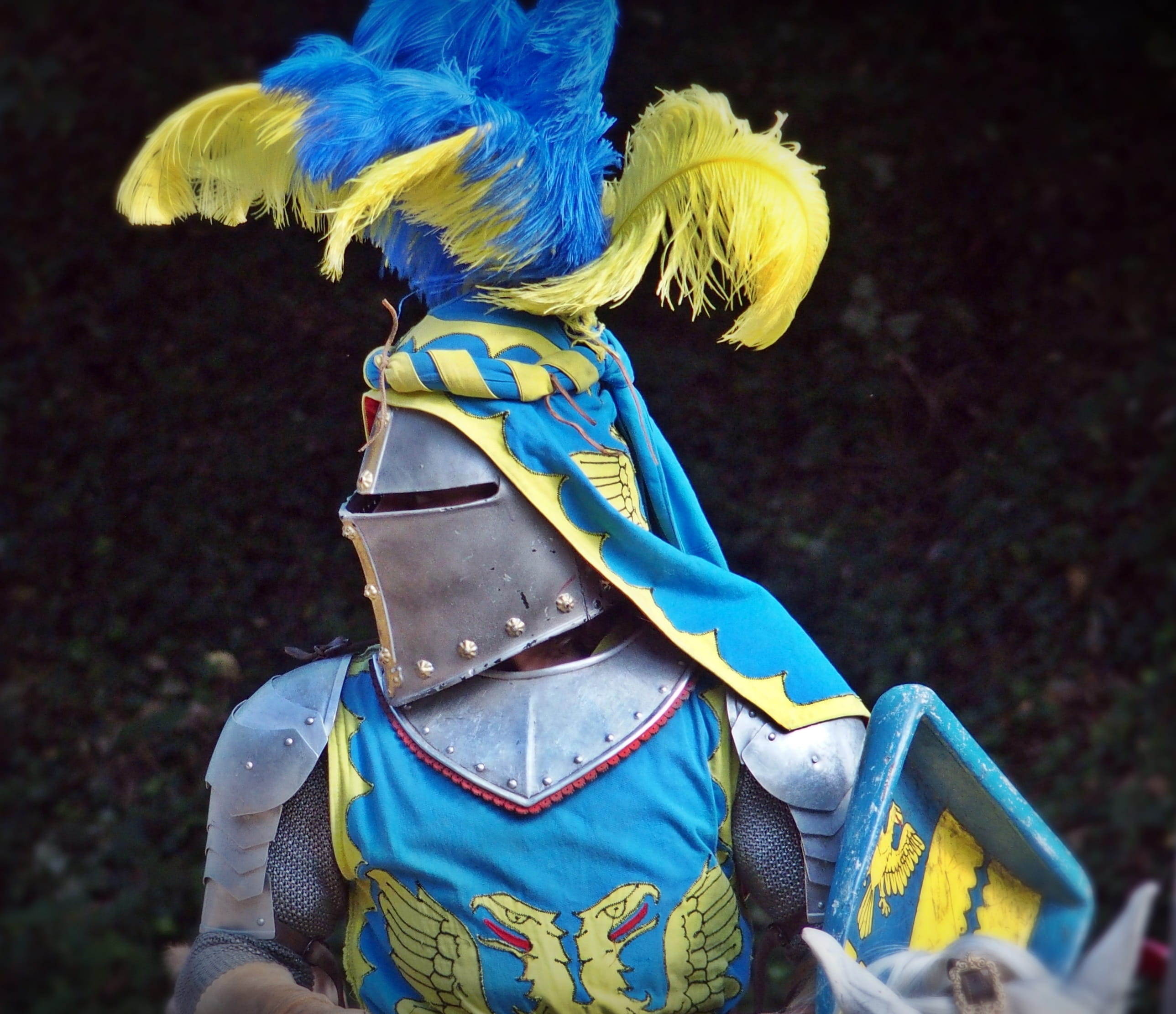 medieval, human representation, knights joust, creativity, day, body Armor, knight - Person, blue, adult, cultures, people, close-up, Tournament, horses, HD Wallpaper