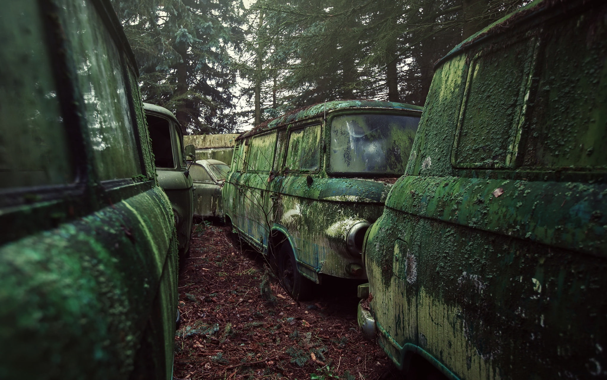 outdoors, vehicle, wreck, stationary, decline, rail transportation, abandoned, nature, obsolete, green color, mode of transportation, train - vehicle, deterioration, HD Wallpaper
