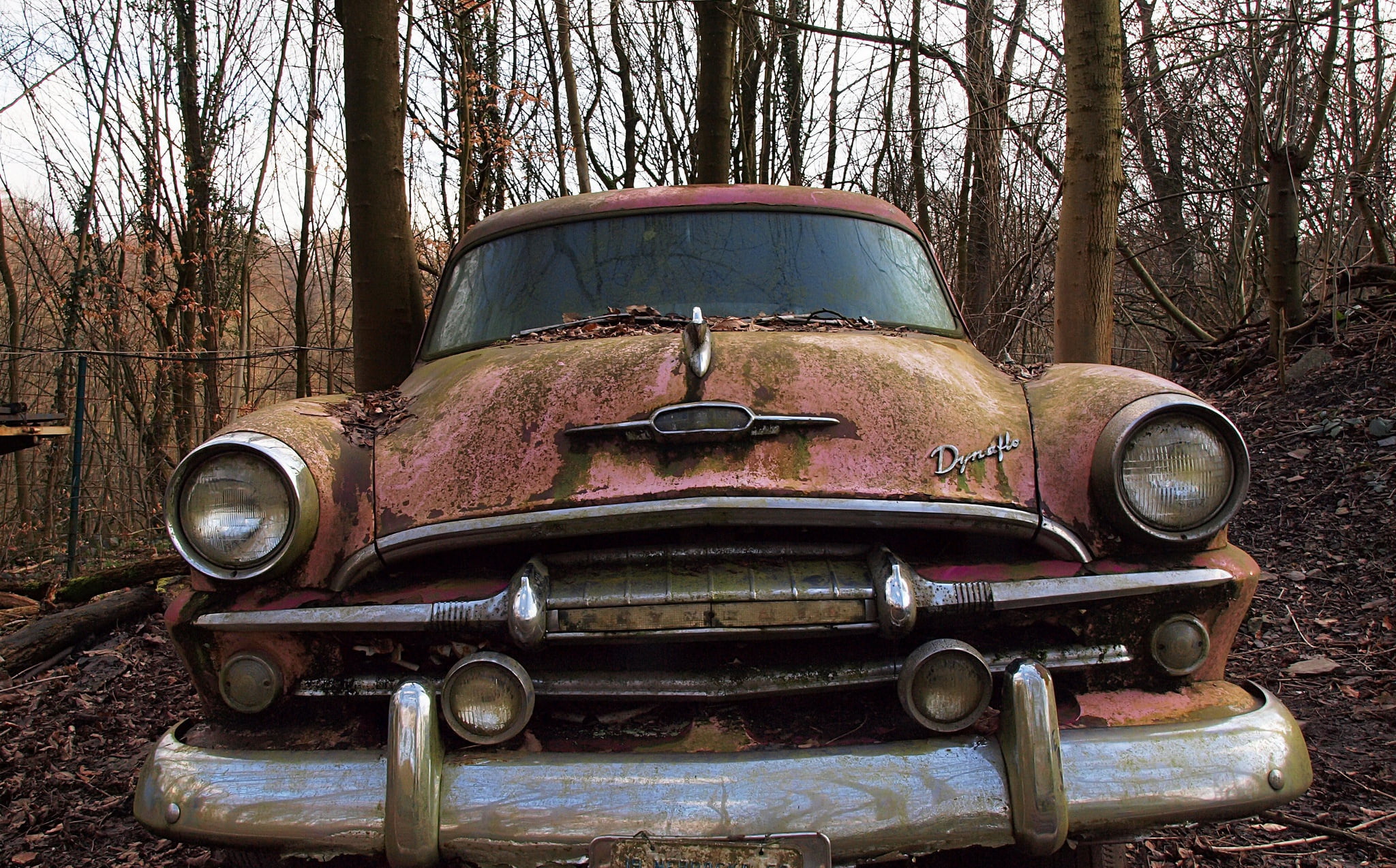 tree, vintage car, rusty, forest, nature, abandoned, land, land vehicle, vehicle, trunk, motor vehicle, mode of transportation, day, tree trunk, no people, HD Wallpaper