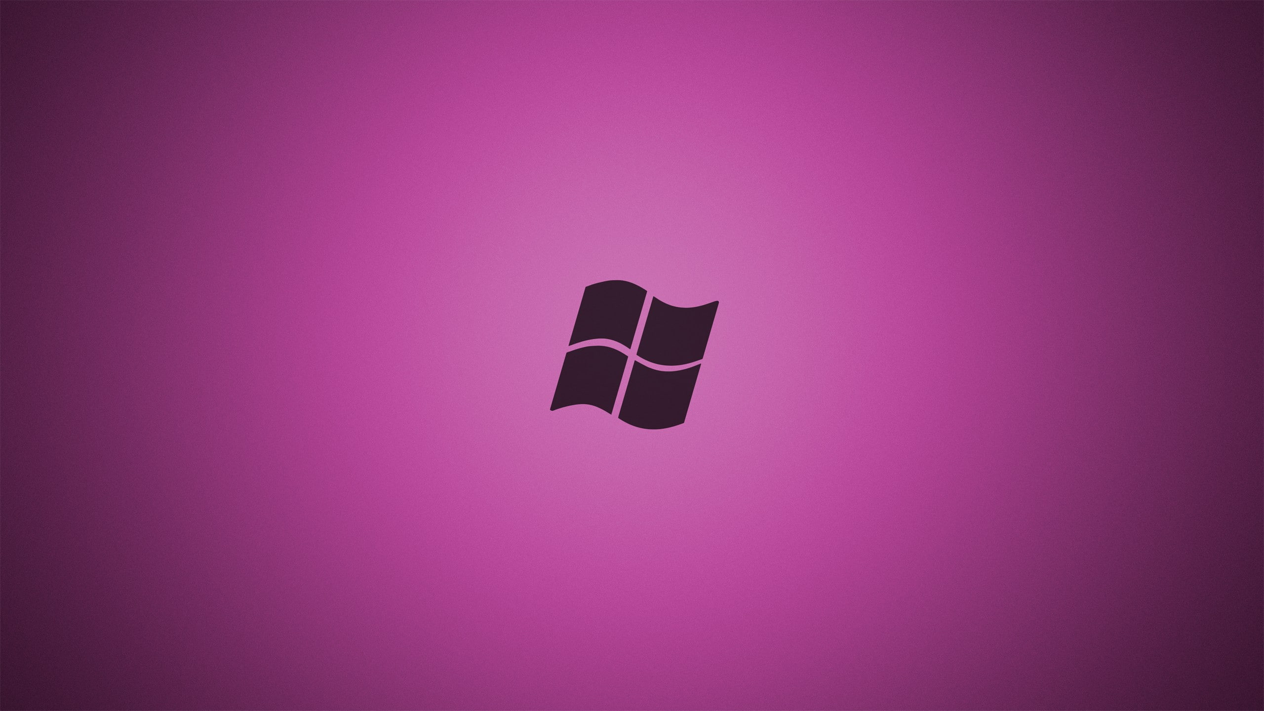Microsoft Windows, purple background, 2K, HD Wallpaper