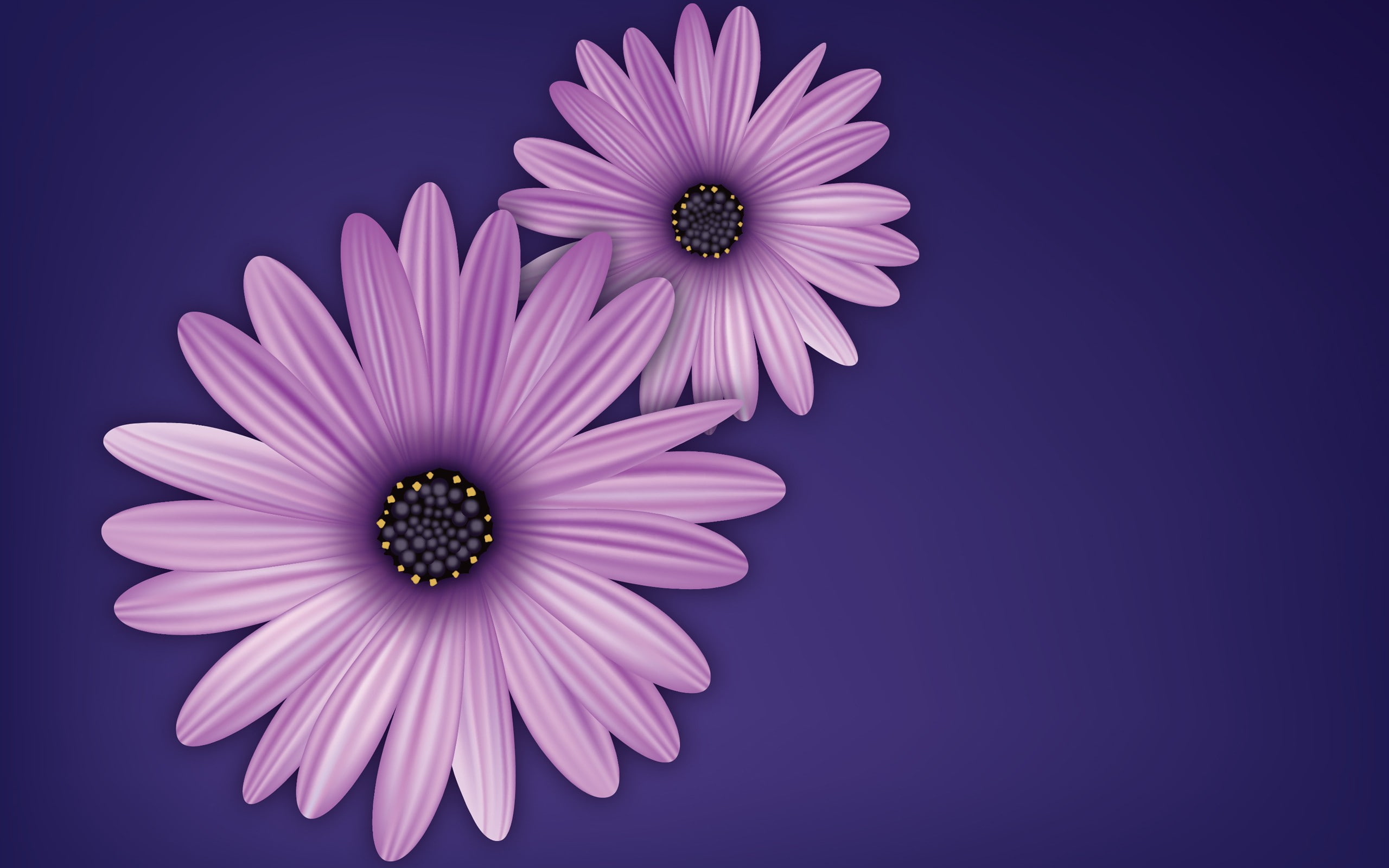 flowers, purple, 2K, vector, digital art, simple background, purple background, HD Wallpaper