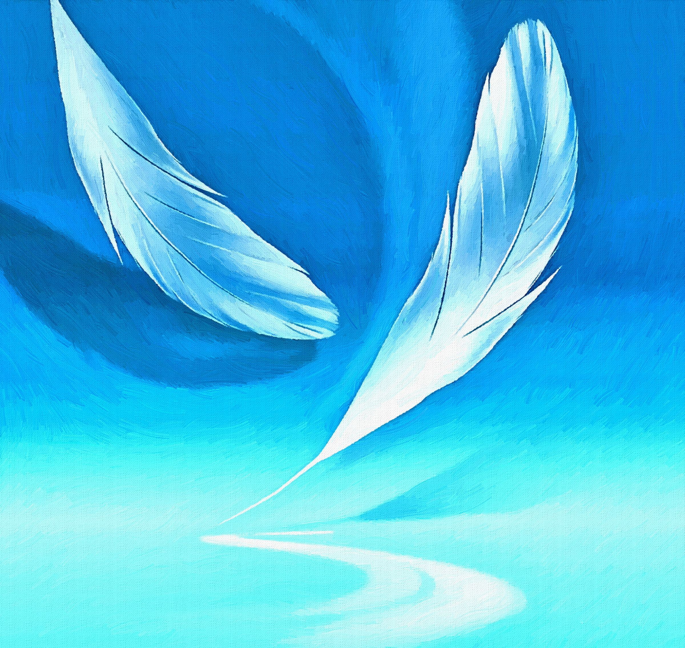 1080P, turquise, blue, feathers, artwork, HD Wallpaper