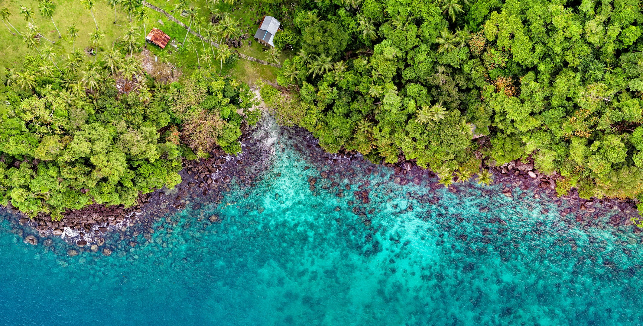 trees, sea, birds eye view, aerial view, 1080P, turquise, shore, forest, landscape, nature, HD Wallpaper