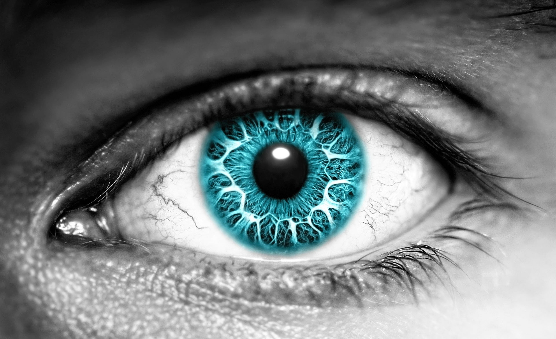 1080P, extreme close-up, k, close-up, human face, indoors, teenager, eyesight, turquise, body part, adult, eyeball, sensory perception, eye, blue eyes, HD Wallpaper