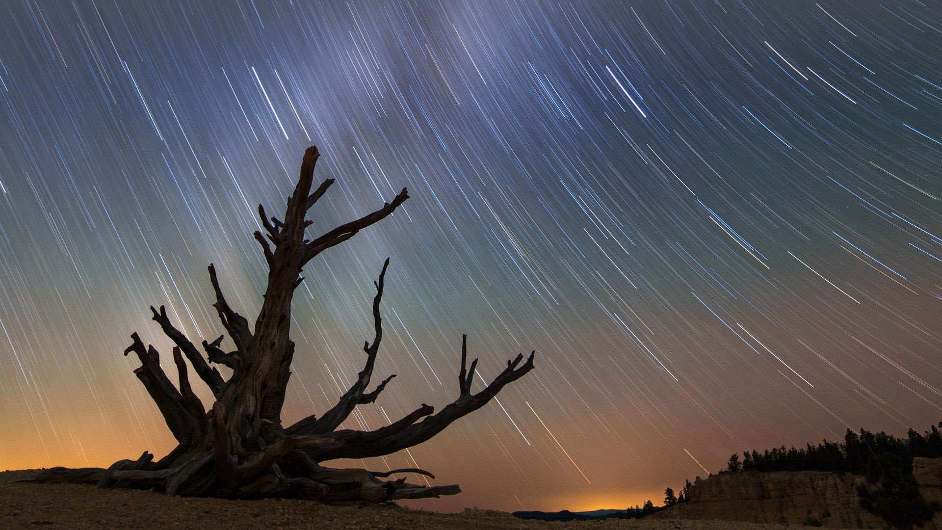 Sky, Night, Star Trail, 1080P, Earth, HD Wallpaper