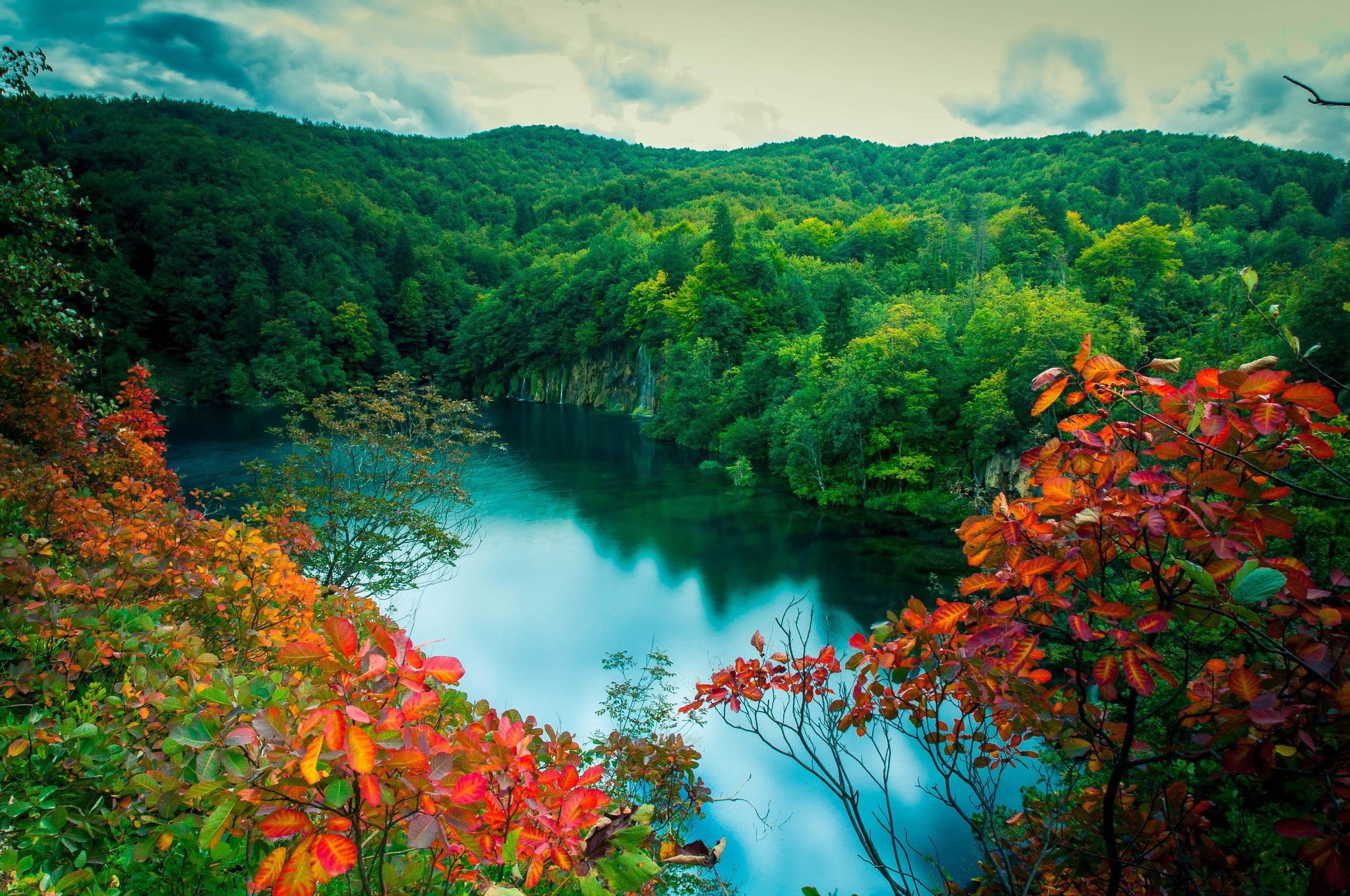 trees, las., stary, Lake, 1080P, Poland, forest, HD Wallpaper