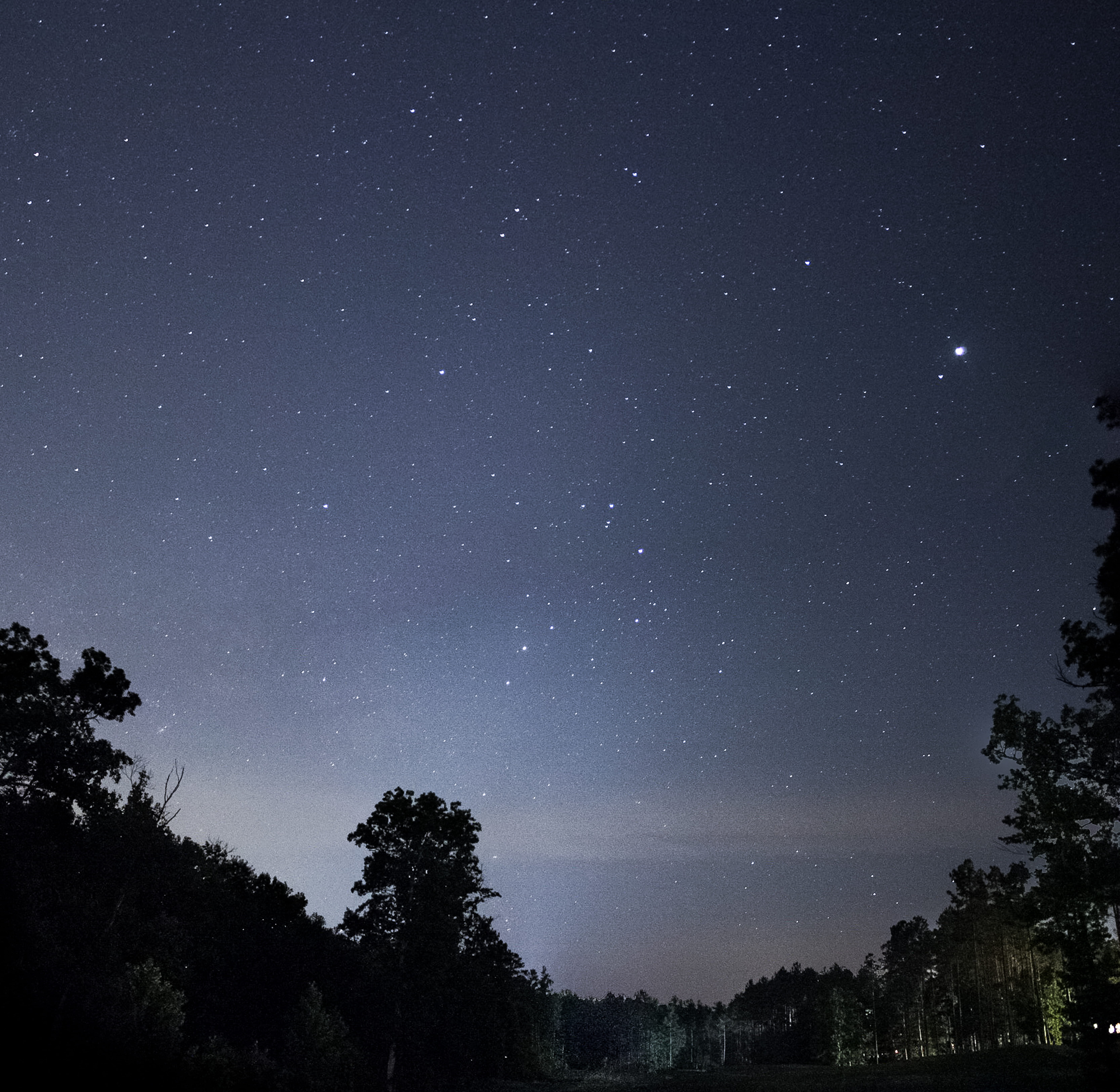 tranquil scene, idyllic, 5K, night, silhouette, night time, trees, outdoors, sky, tree, astronomy, star, tranquility, nature, no people, star - space, HD Wallpaper