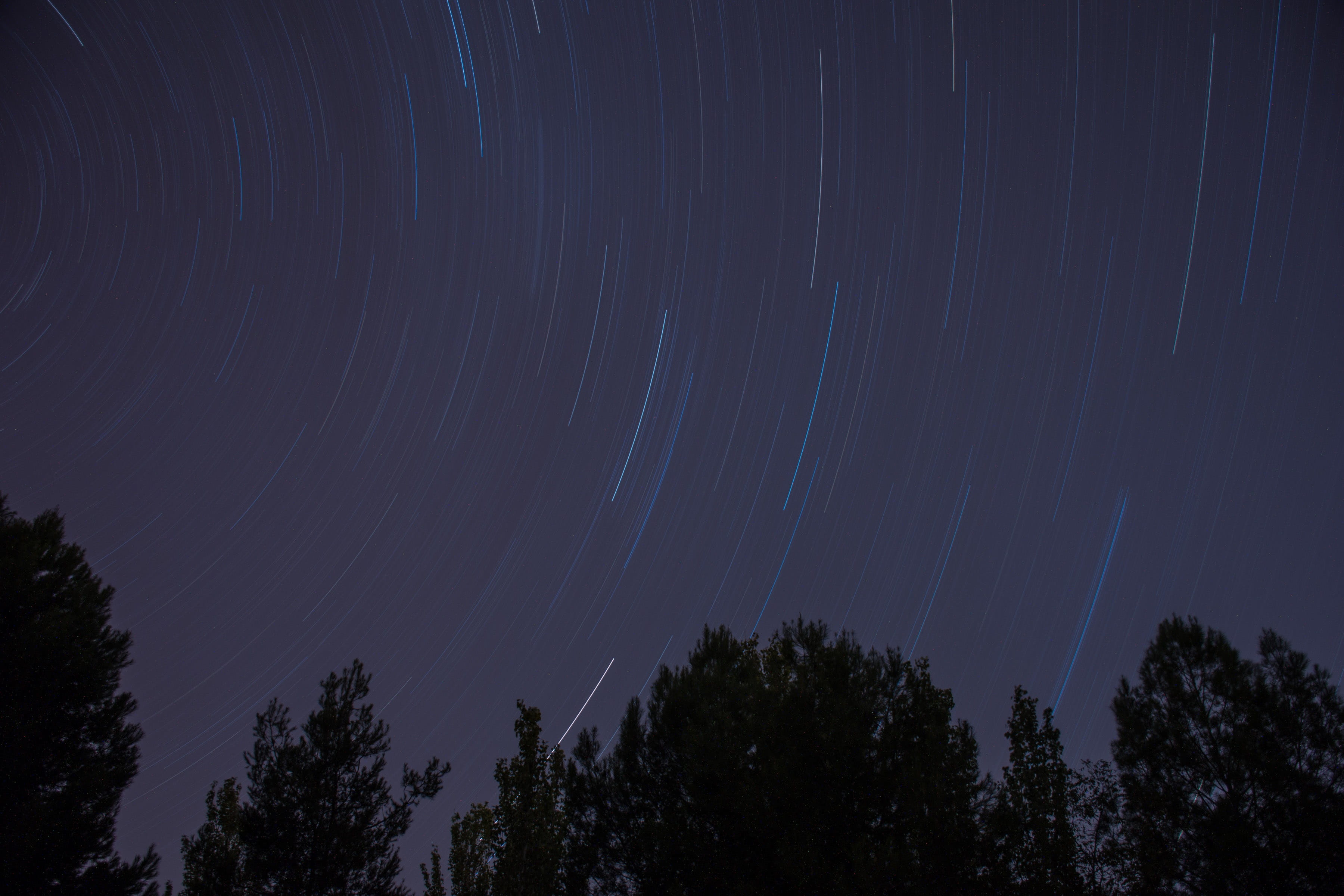 motion, 2K, astronomy, star - space, space, long exposition, sky, nature, beauty in nature, tranquility, circumpolar, startrail, dark, no people, low angle view, HD Wallpaper
