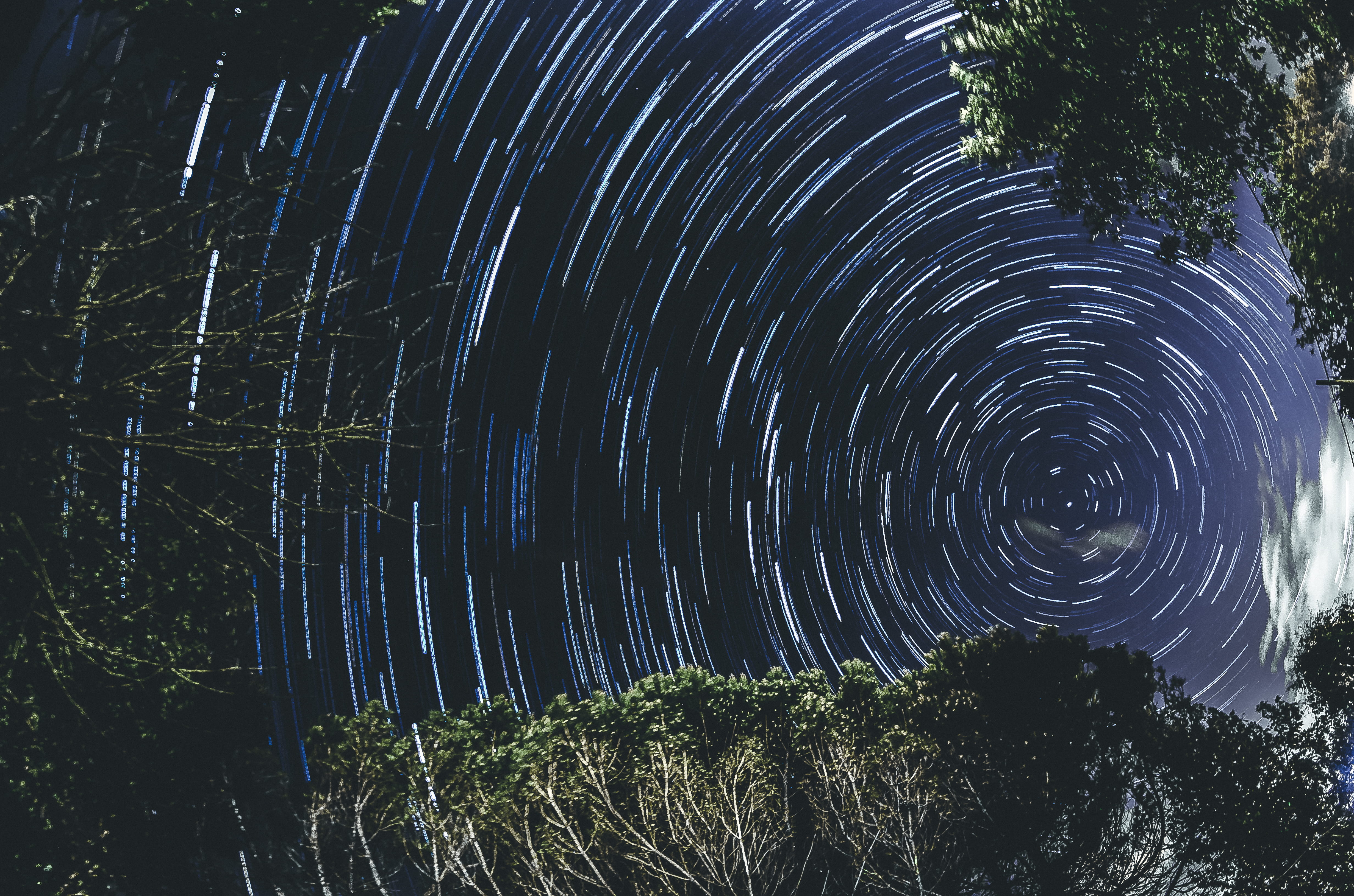 forest, scenics - nature, growth, plant, stars, circle, loadstar, star - space, lapse, low angle view, tranquil scene, outdoors, 360, tranquility, polar star, HD Wallpaper