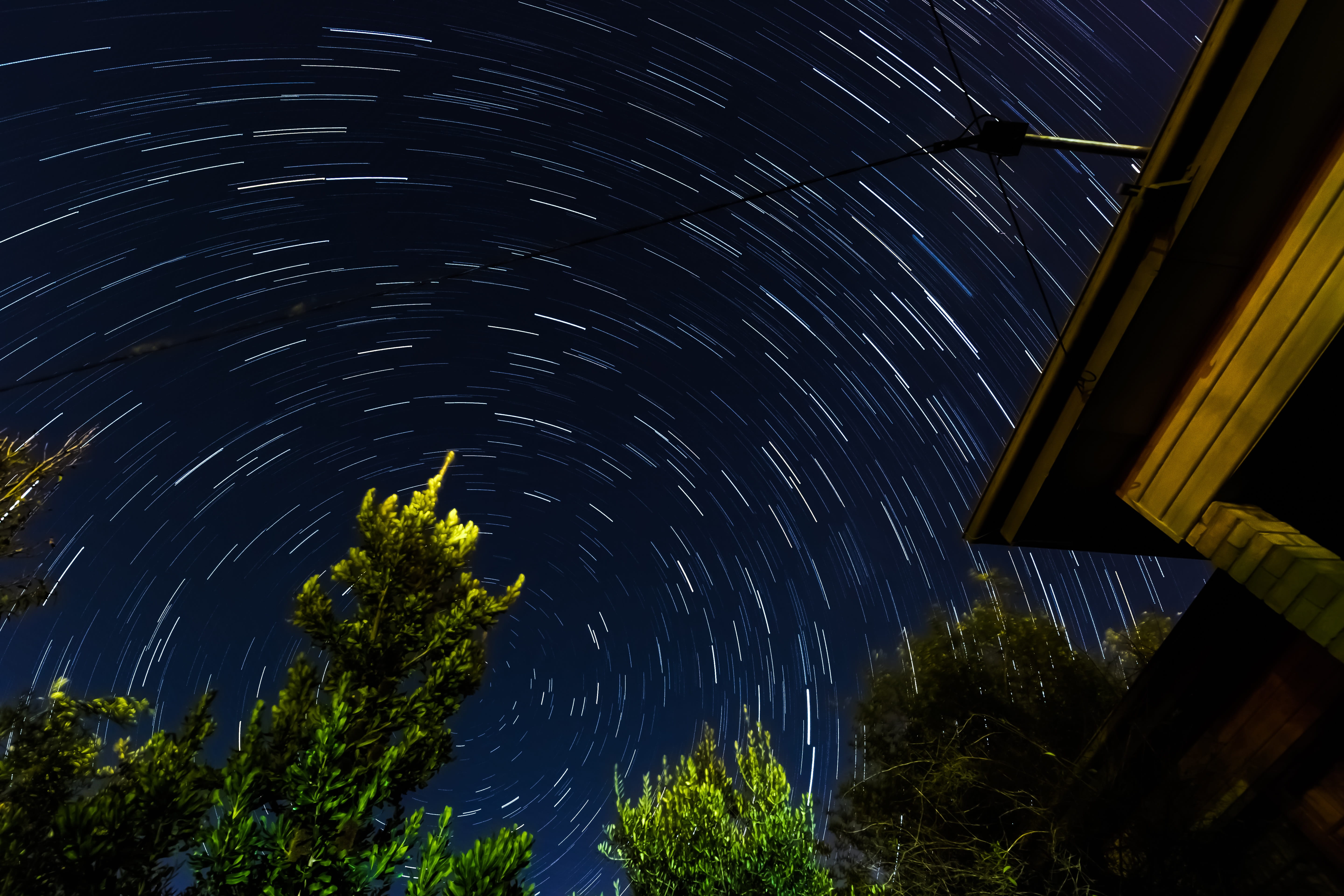skies, trail, star, stars, blue, space and astronomy, startrails, star trail, night, plant, star - space, tree, nature, beauty in nature, exposure, long, HD Wallpaper