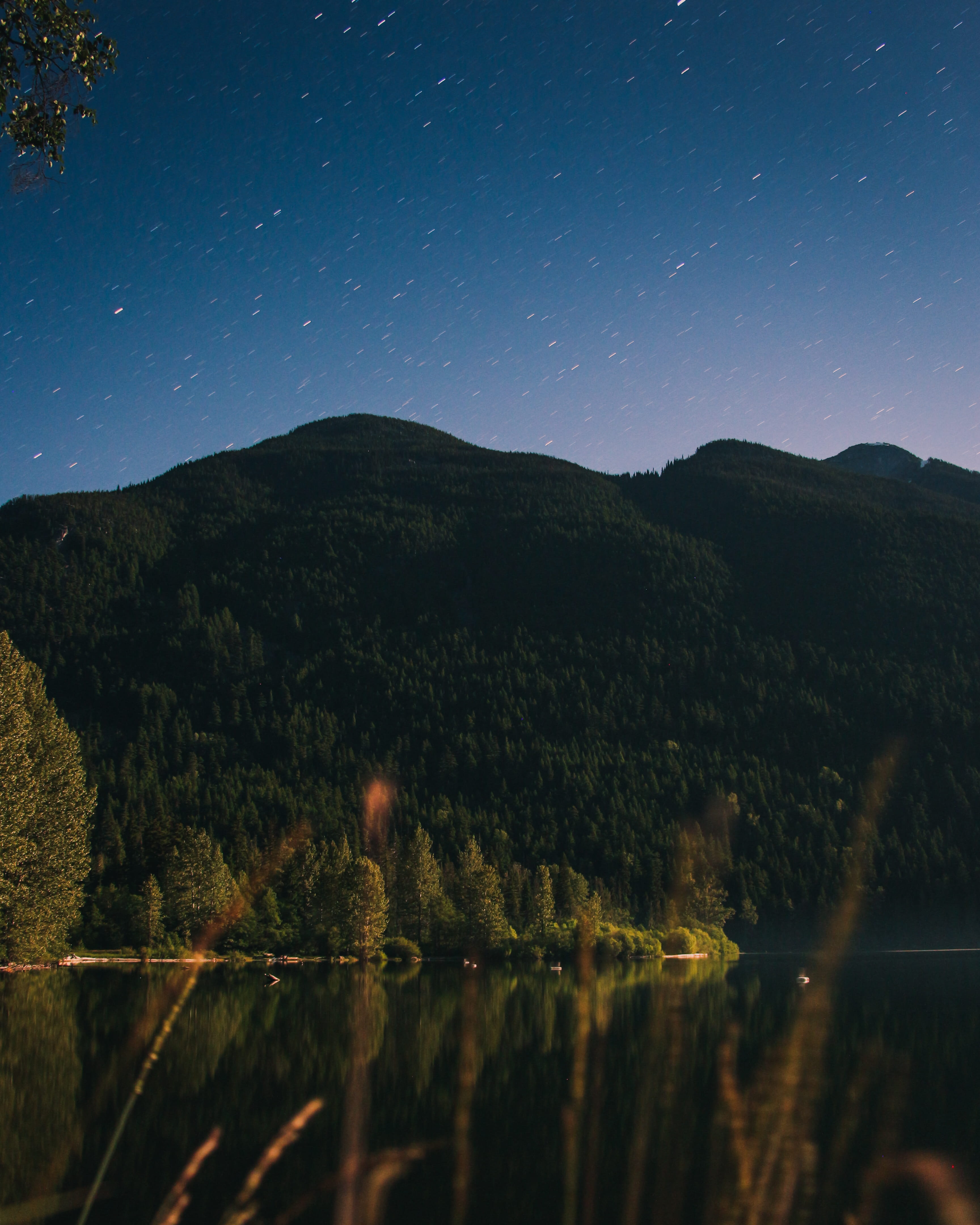 plant, tranquility, hillside, skyline, moutain, scenics - nature, night sky, woodland, startrail, astrophotography, astronomy, water reflection, no people, Phone HD Wallpaper