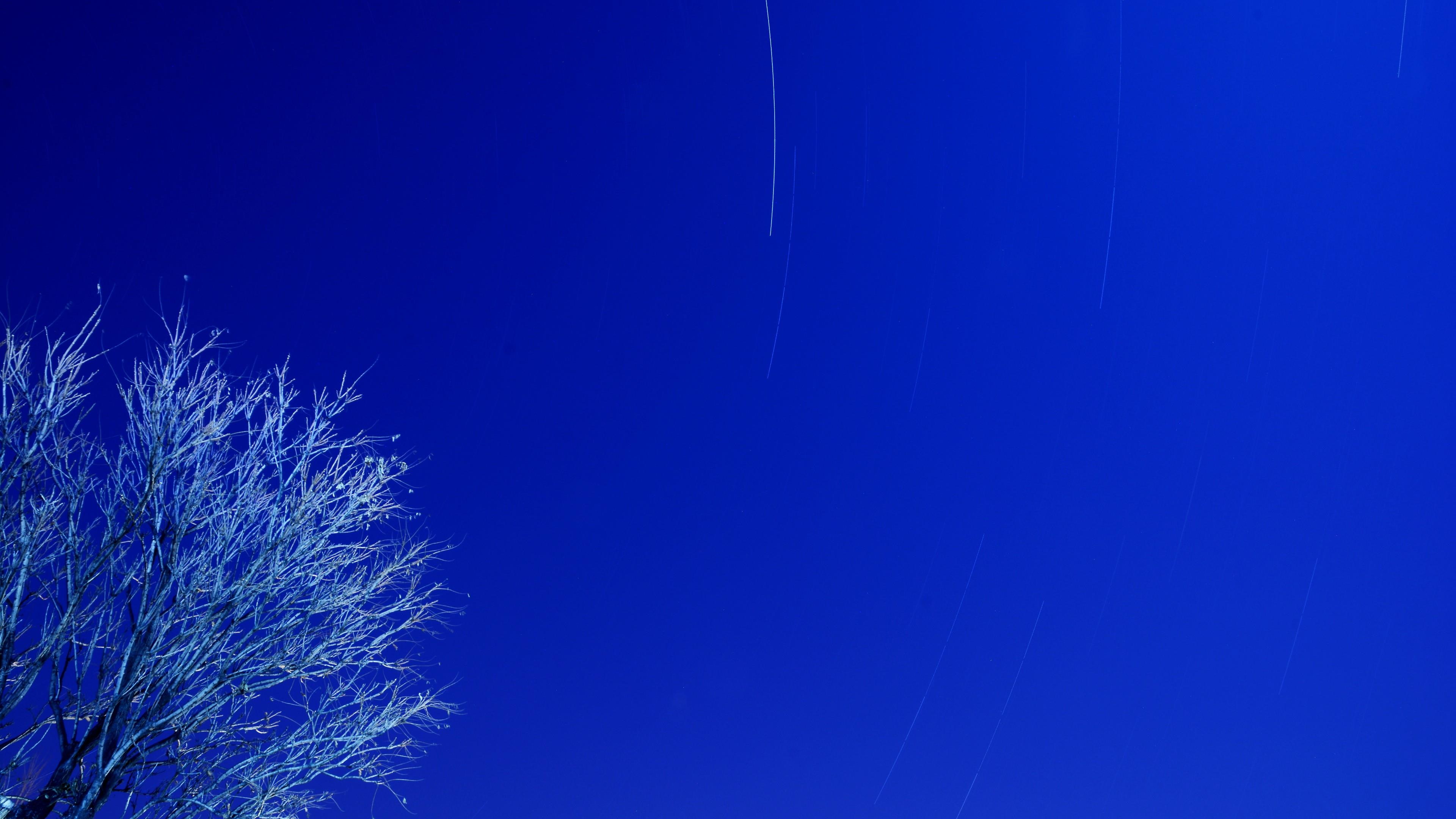 star, tree, blue, sky, startrails, 4K, HD Wallpaper