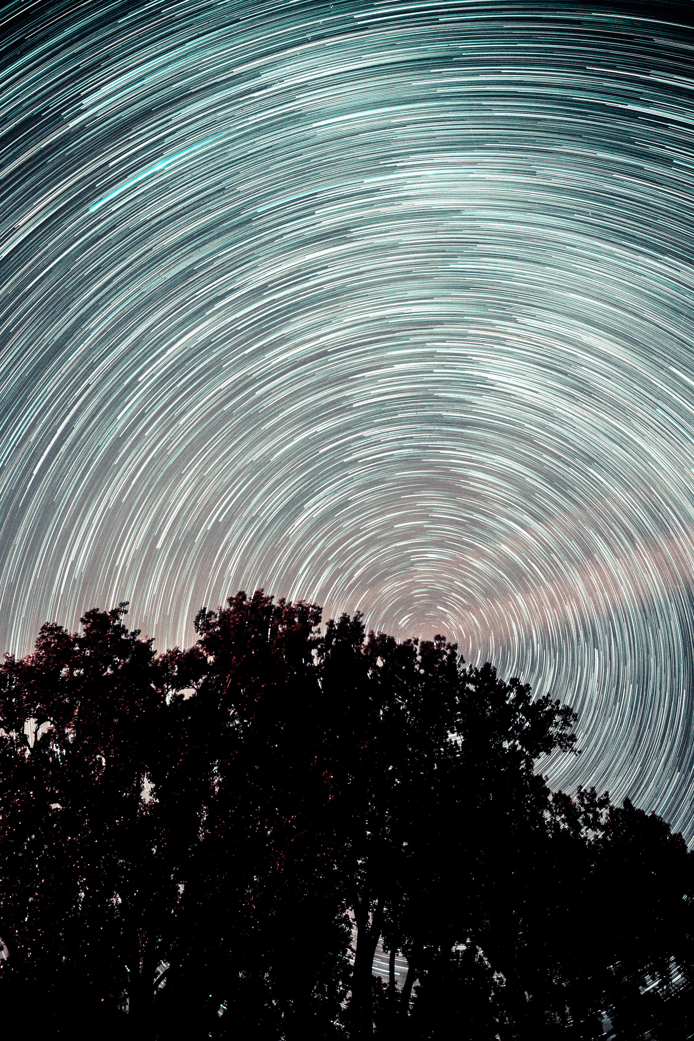 light - Natural Phenomenon, summer, astrophotography, long, forest, background, reflection, night, scenics, tree, no People, spiral, sky, silhouette, outdoors, Phone HD Wallpaper