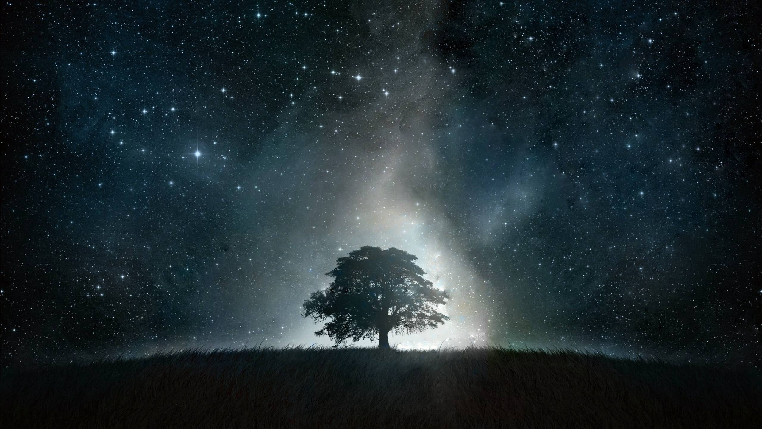 forest, glowing, scenics, backgrounds, galaxy, dark, no People, illuminated, land, 2K, light - Natural Phenomenon, non-Urban Scene, star Shape, astronomy, HD Wallpaper