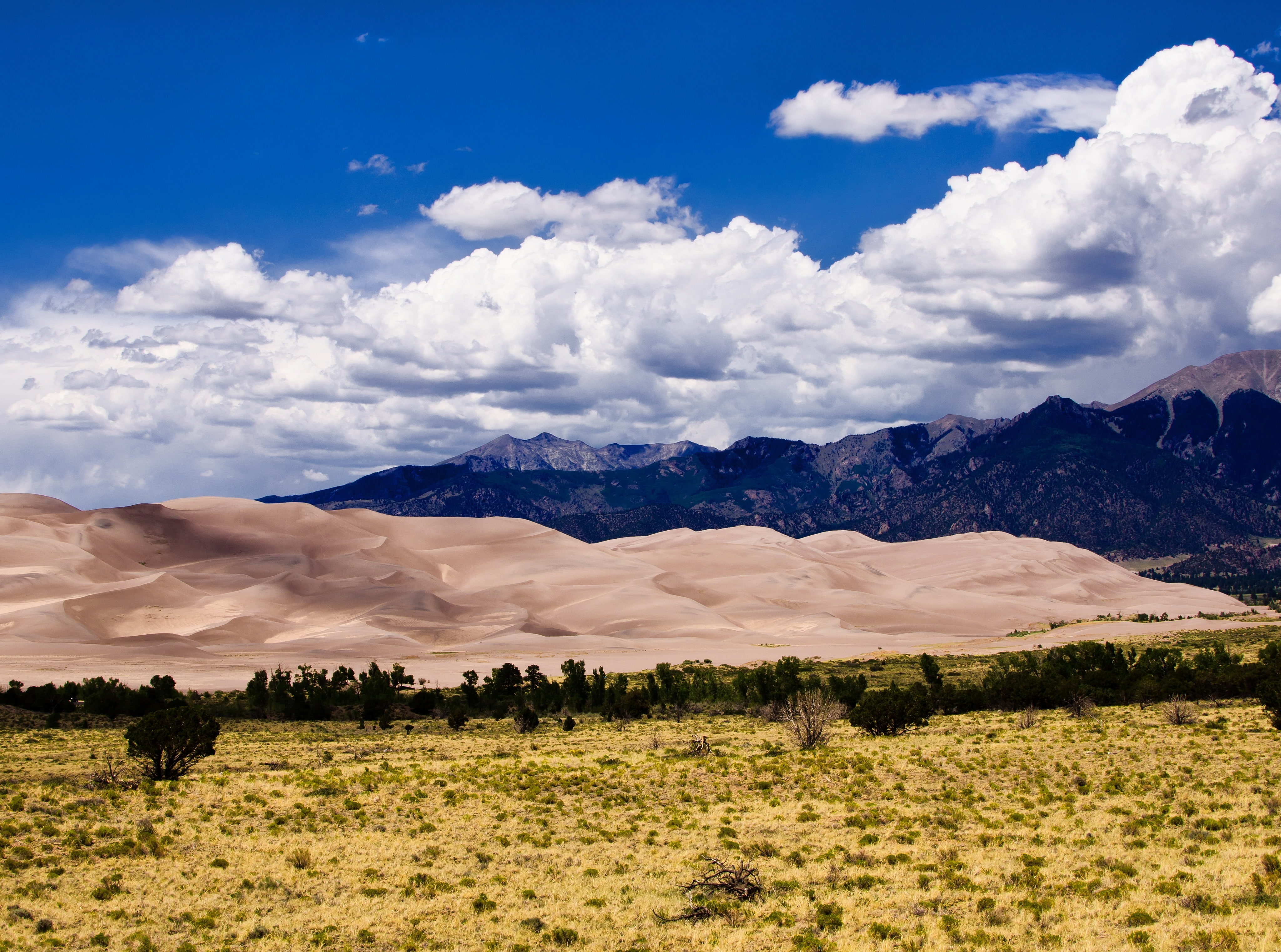National, Sand, Colorado, tranquil scene, Dunes, plant, nationalpark, grass, tranquility, animal, United States, Park, mountain, environment, sky, day, HD Wallpaper