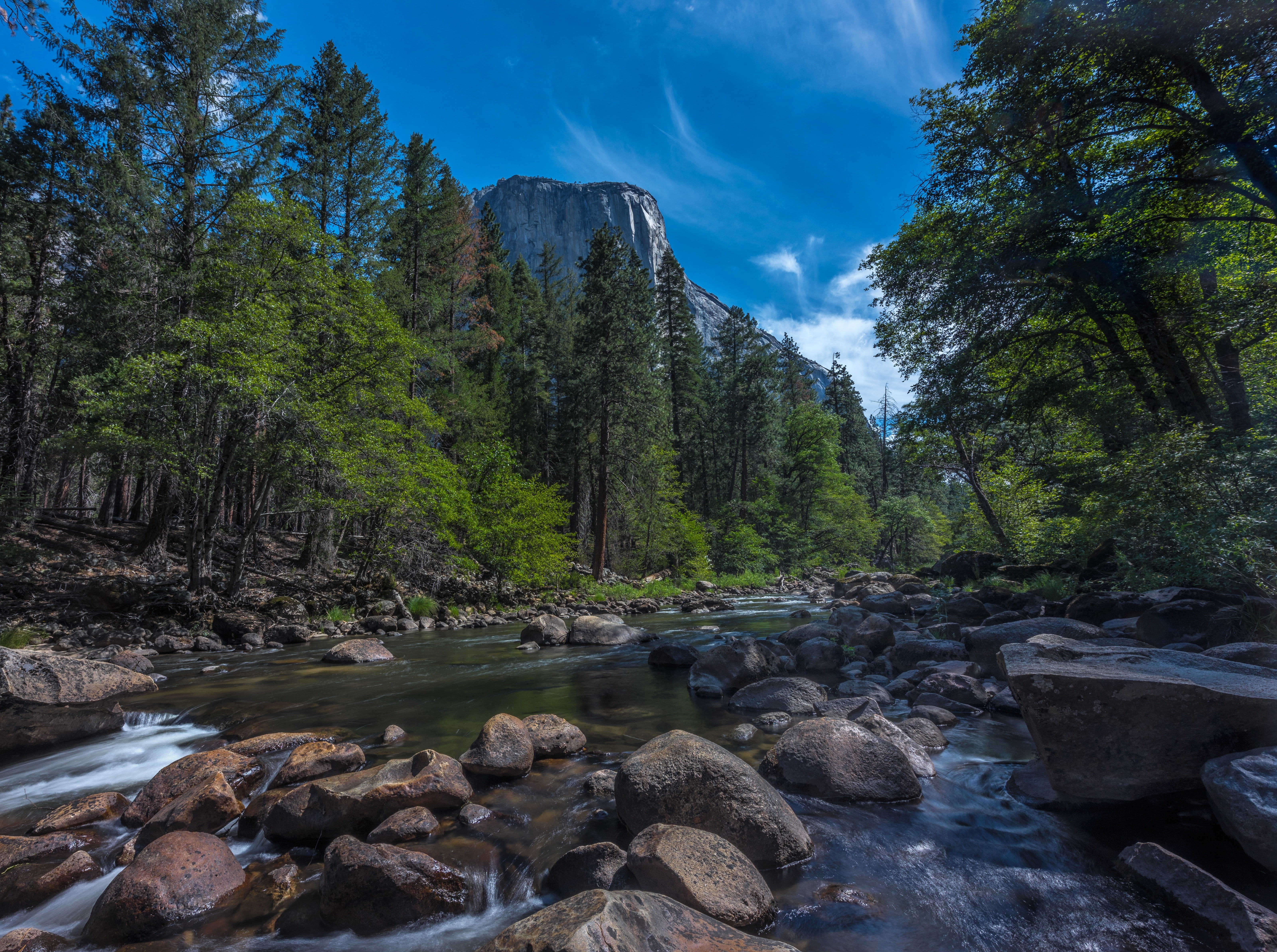 beauty in nature, smoothwater, flowing, Scenic, touristattraction, tree, growth, Landscape, Yosemite, Amazing, Summit, stream - flowing water, plant, unitedstates, HD Wallpaper