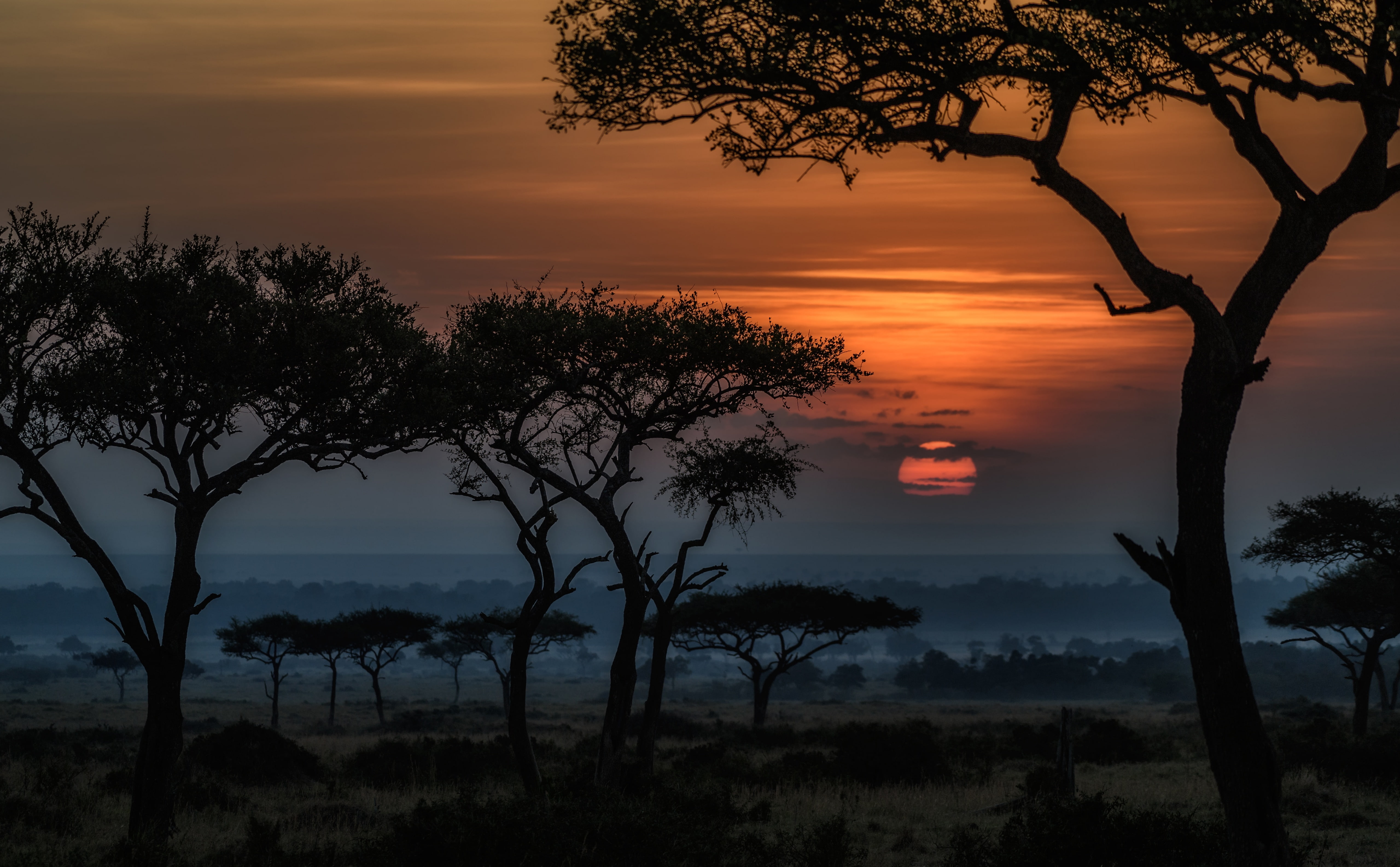 tourism, Landscape, traveltheworld, acaciatrees, green, Tour, leafed, sky, Kenya, Trip, outdoors, orange color, Nature, scenics - nature, tranquility, water, HD Wallpaper