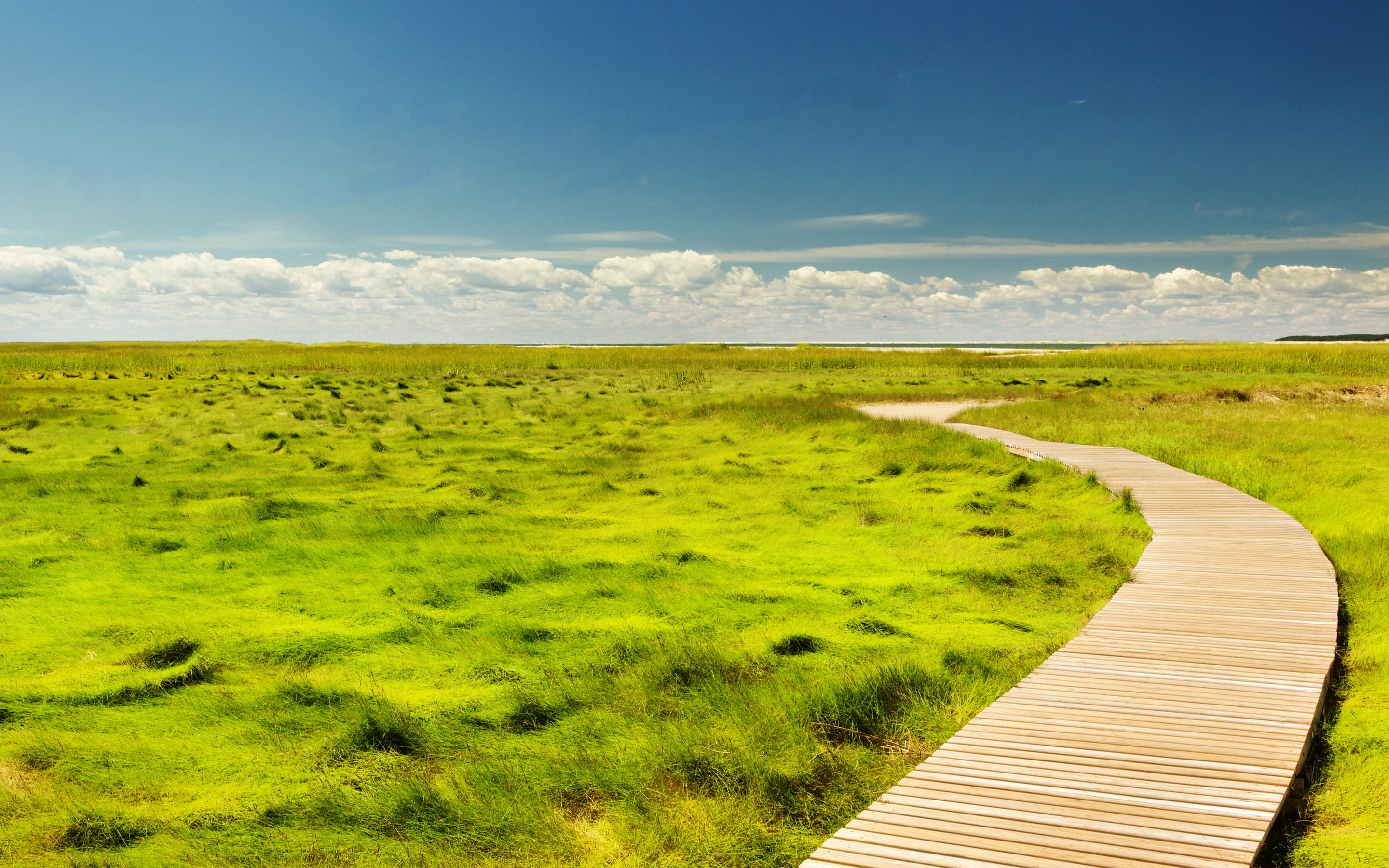 landscape, grass, countryside, grassland, trail, sky, path, horizon, 2K, HD Wallpaper