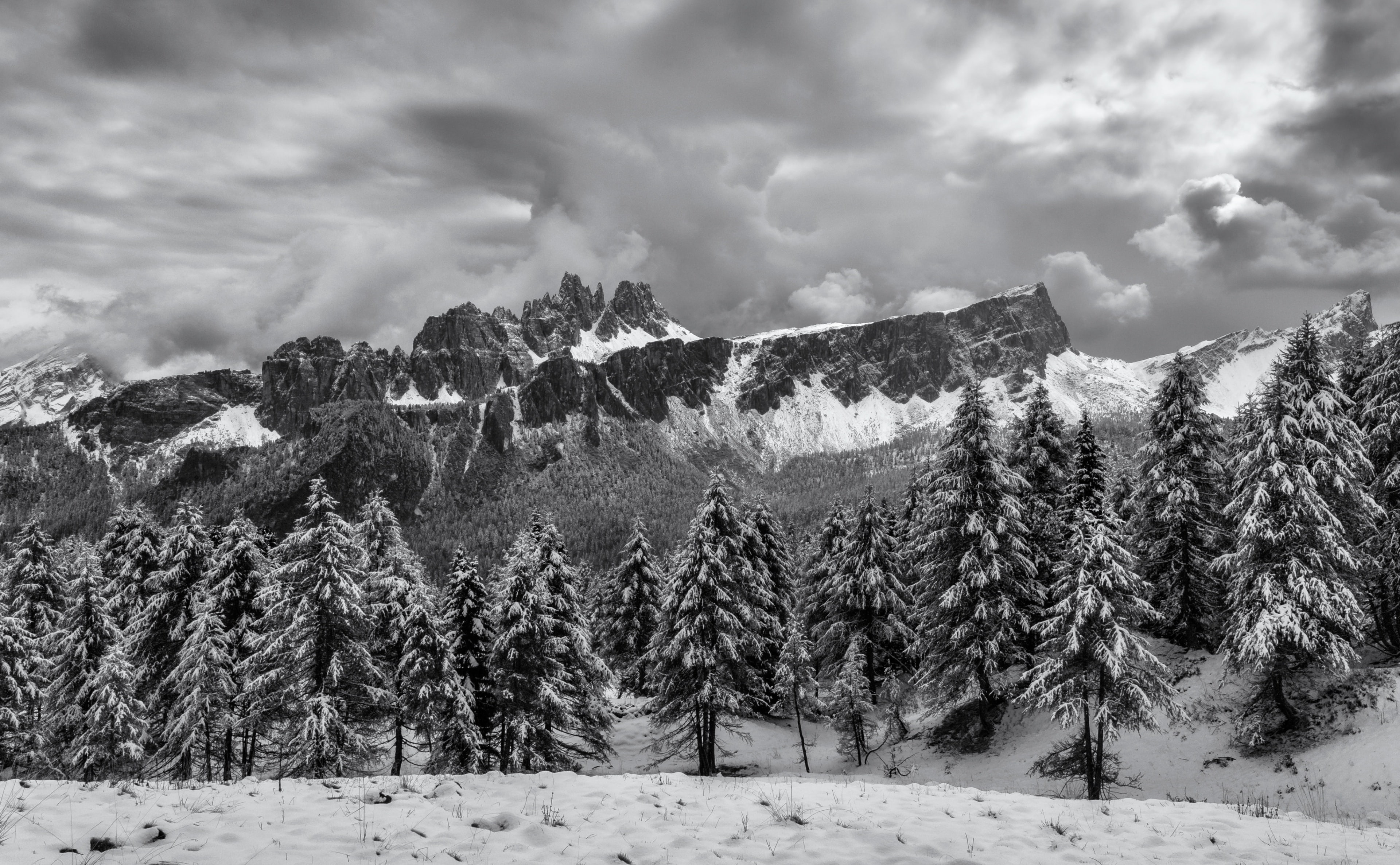 Northern, Travel, blackandwhite, pellizzano, pine tree, dolomites, White, cloud - sky, Winter, traveltheworld, Scenery, clouds, pine woodland, storm, Vacation, HD Wallpaper