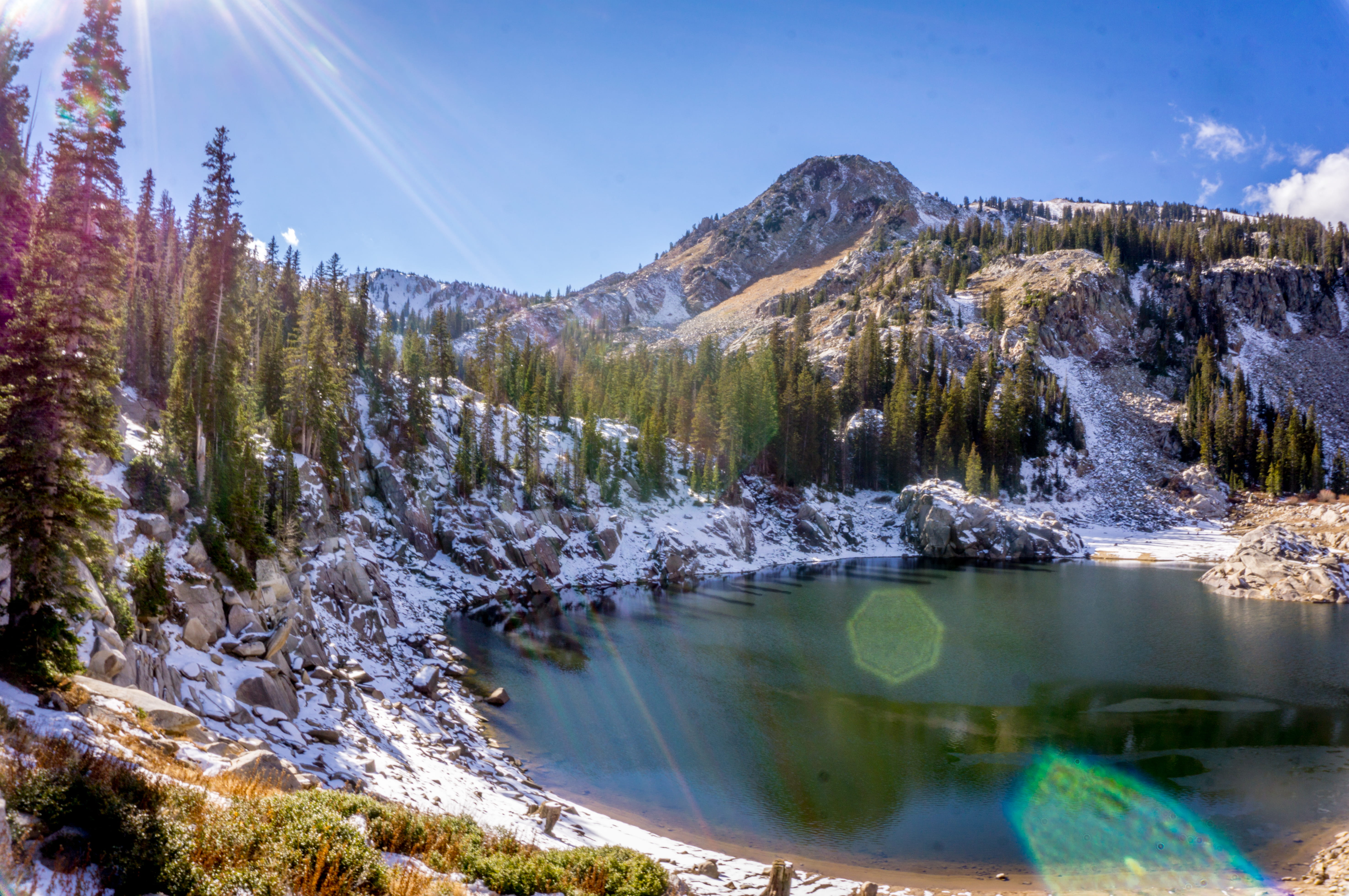 peak, tranquility, environment, sun, united states, day, big cottonwood canyon, sky, pine, tree, cottonwood heights, sunshine, mountain, fall, trail, utah, HD Wallpaper