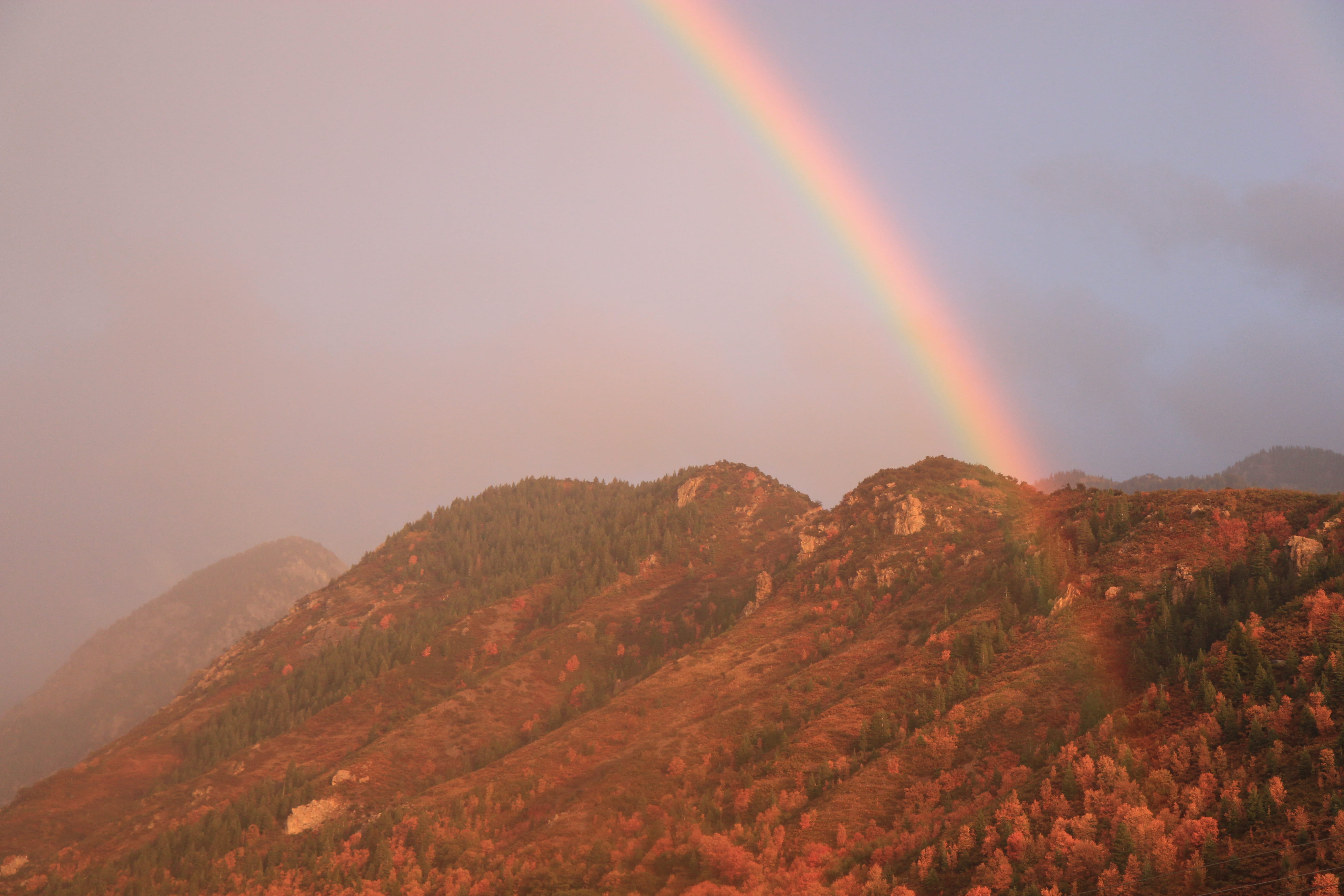 tranquil scene, mountain, mountain range, rainbow, sky, idyllic, nature, double rainbow, scenics - nature, united states, plant, beauty in nature, remote, HD Wallpaper