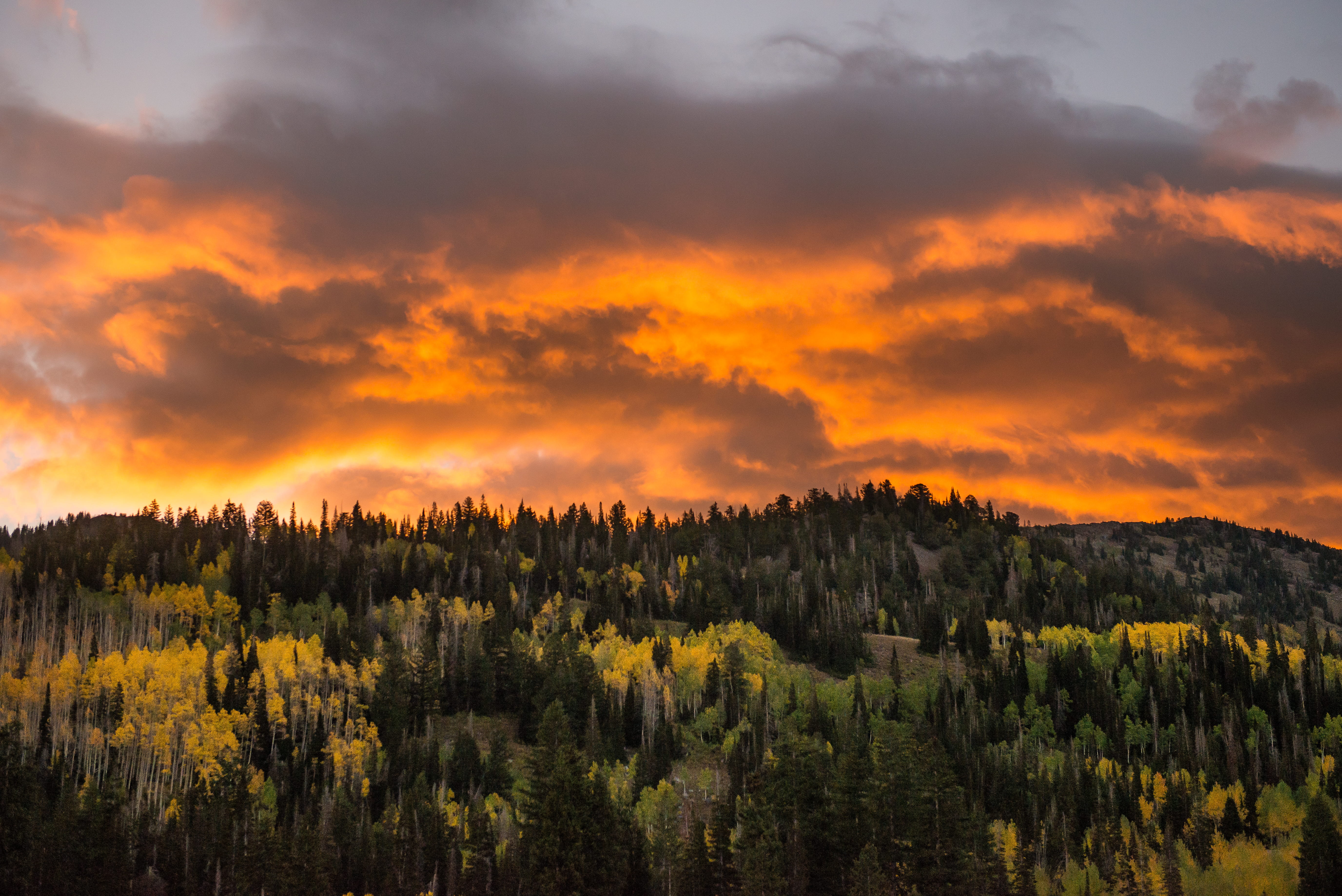 5K, sky, big cottonwood, scenics - nature, tranquility, mountain, beauty in nature, fall, utah, outdoors, cloud - sky, tranquil scene, land, environment, HD Wallpaper