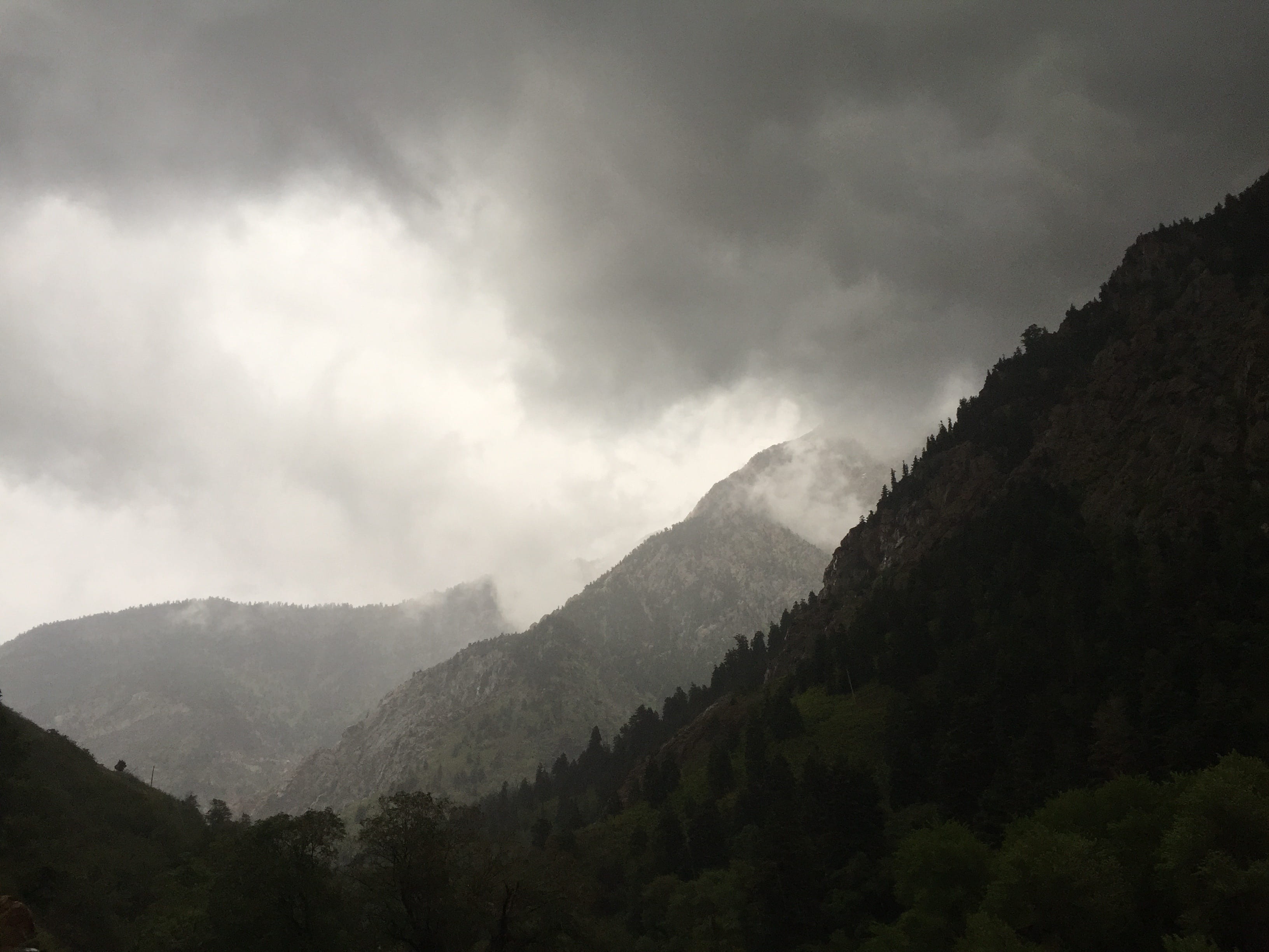 nature, scenics - nature, cloud - sky, environment, mountain range, tree, coniferous tree, plant, tranquility, sky, mountain peak, no people, 2K, big cottonwood canyon, HD Wallpaper