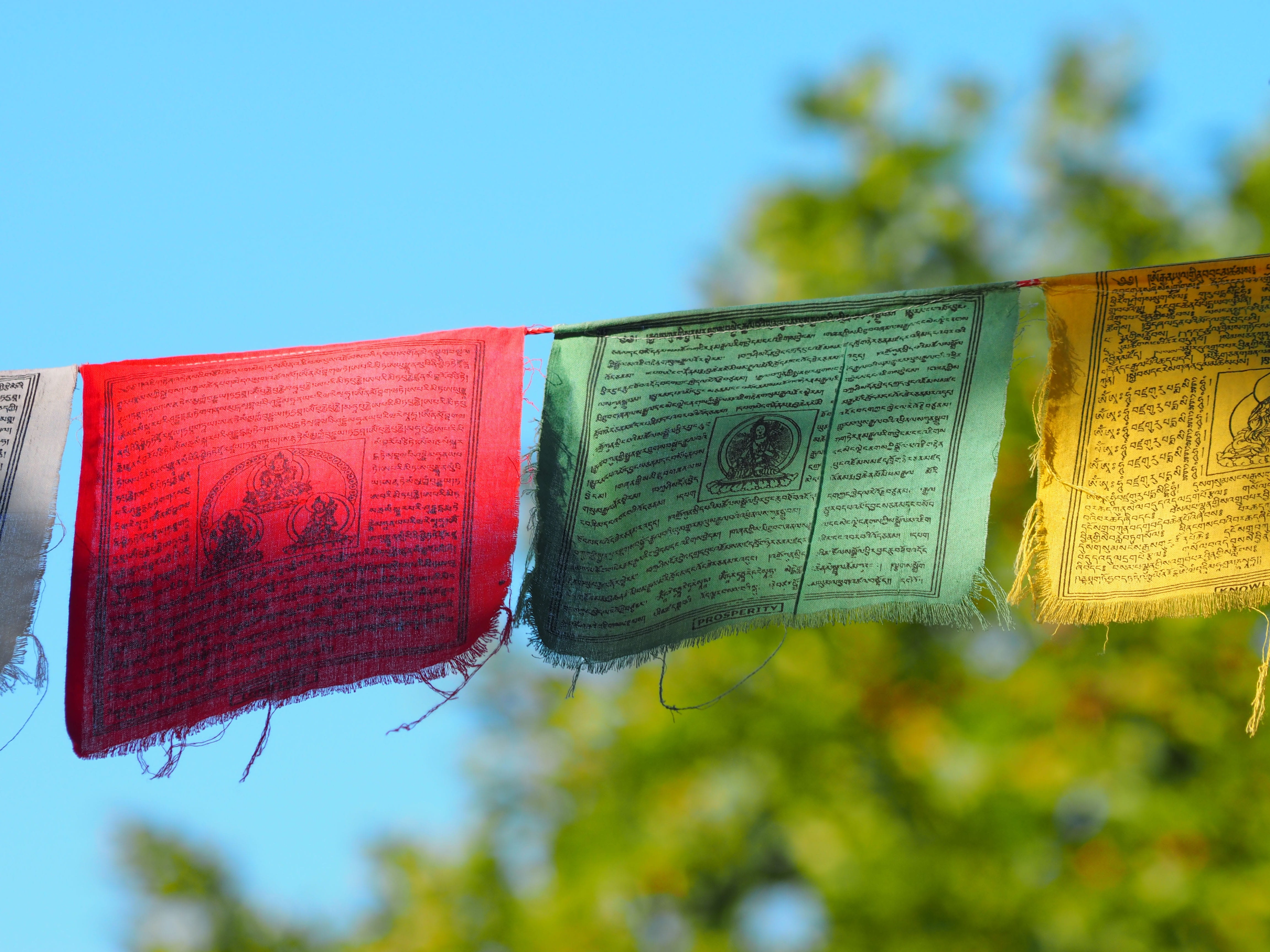 day, sky, clear sky, nature, 4K, green color, metal, flags, no people, tinsel, plant, communication, blue, outdoors, red, safety, tibetans subject-garlands, HD Wallpaper