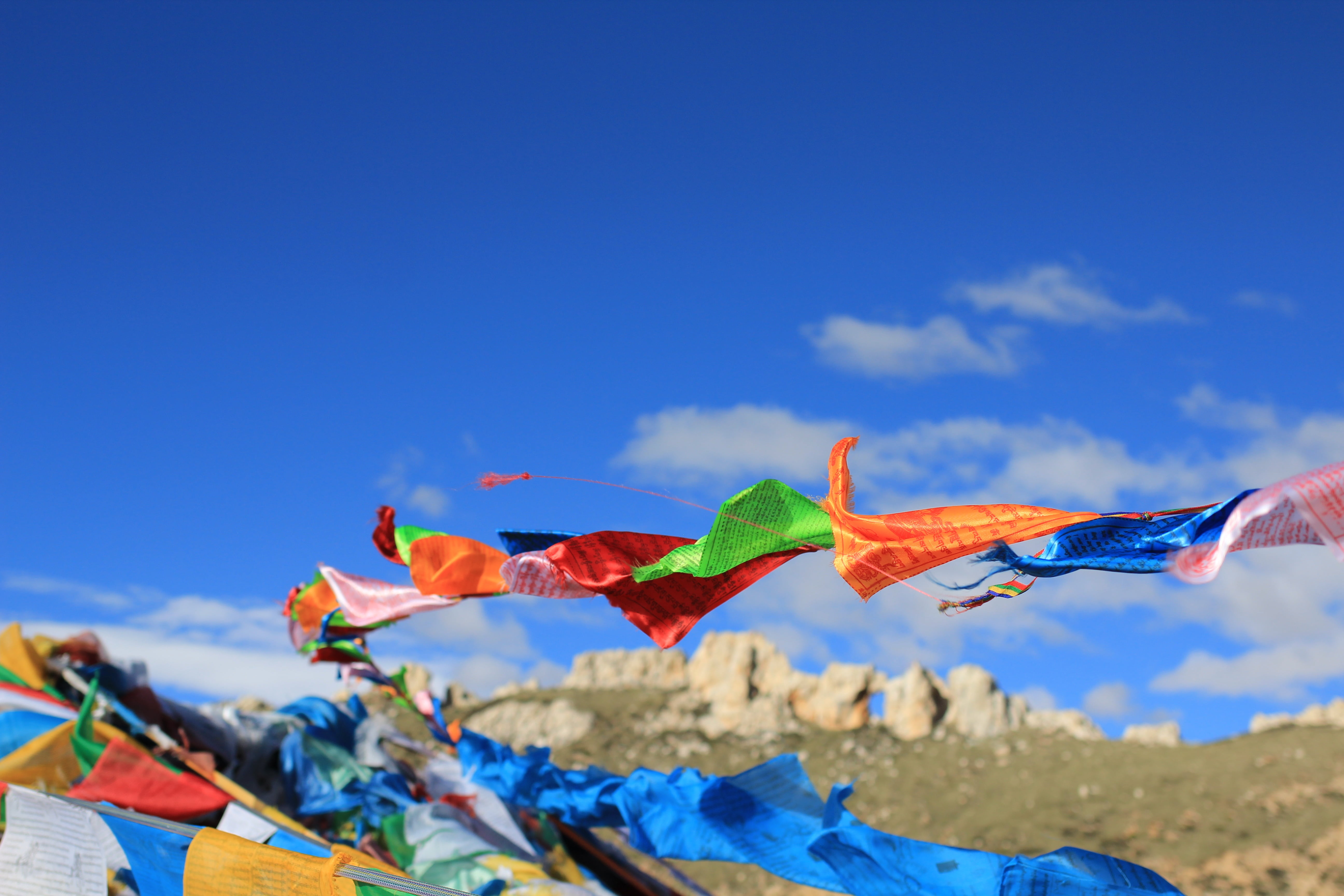 maple leaf, leaves, sky, no people, prayer flags, beauty in nature, plant part, low angle view, lot, assorted, blue, nature, color, change, sunlight, leaf, HD Wallpaper