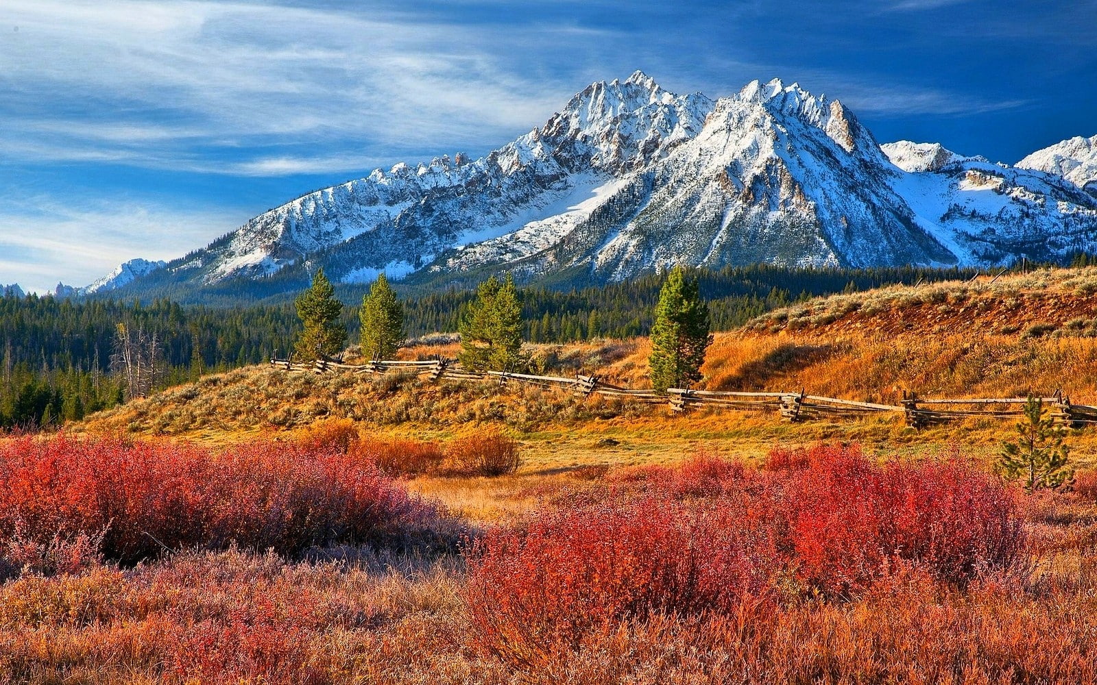 mountain, plant, tranquil scene, change, cold temperature, mountain range, nature, forest, colorful, fence, tranquility, beauty in nature, landscape, mountains, HD Wallpaper