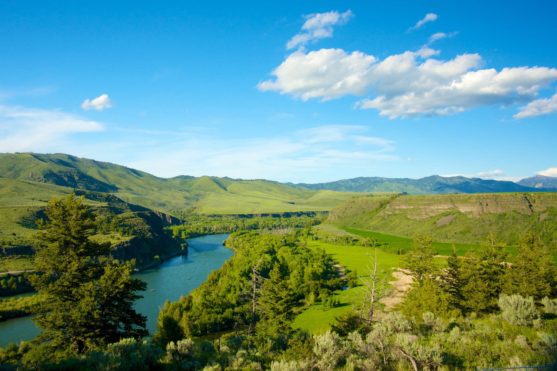 panoramic, tree, nature, green, valley, Landscape, public domain, majestic, scenic, tranquility, forest, environment, green wooded river valley, green Color, HD Wallpaper