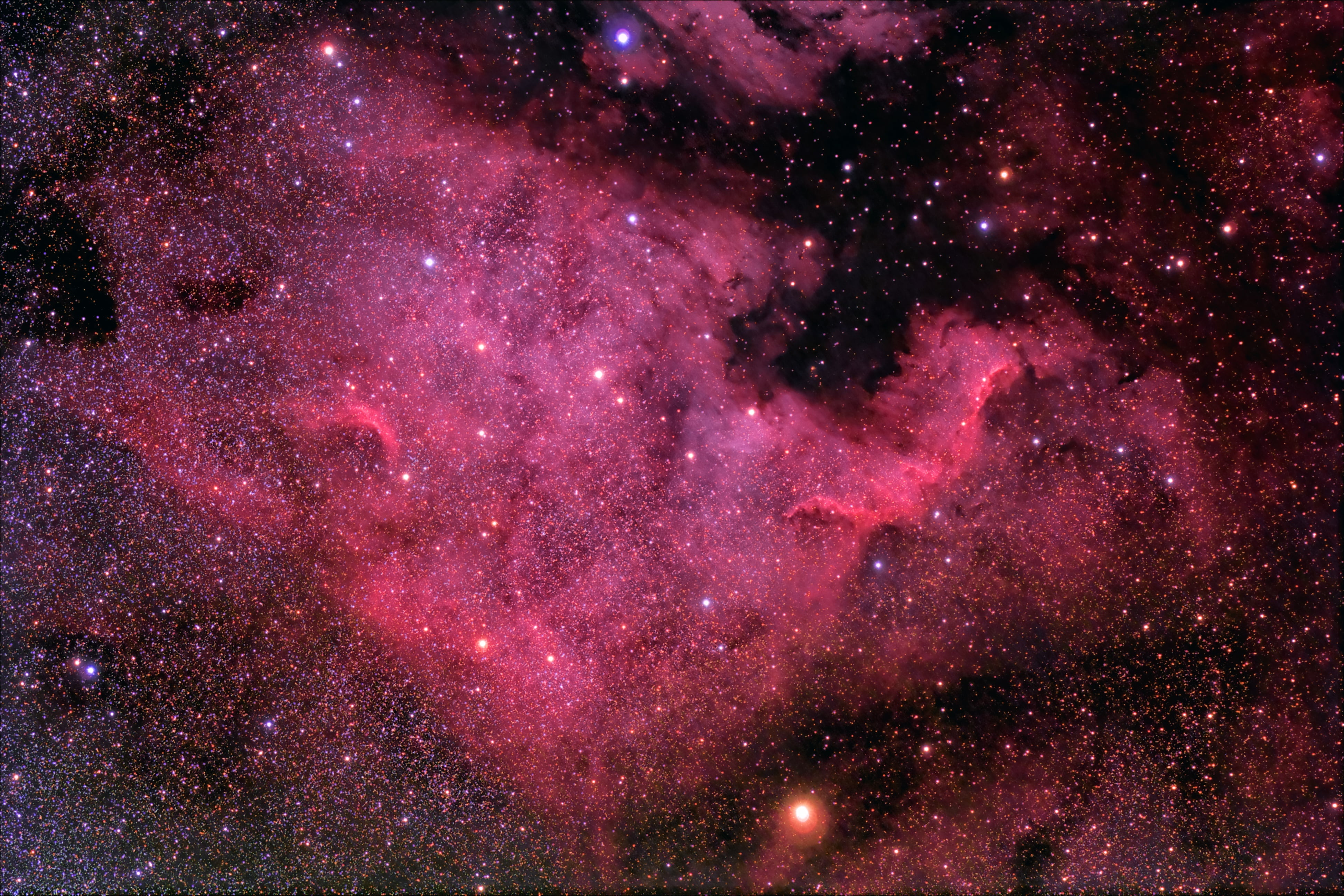 North America Nebula, infinity, purple, night, black, illuminated, globular star cluster, nature, pink color, beauty, galaxy, star - space, sky, beauty in nature, HD Wallpaper