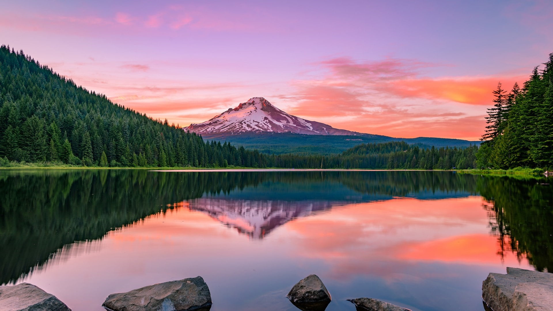 tranquility, dawn, pine tree, idyllic, scenics - nature, cloud - sky, environment, cloud, trillium lake, beauty in nature, lake, mount hood, coniferous tree, HD Wallpaper