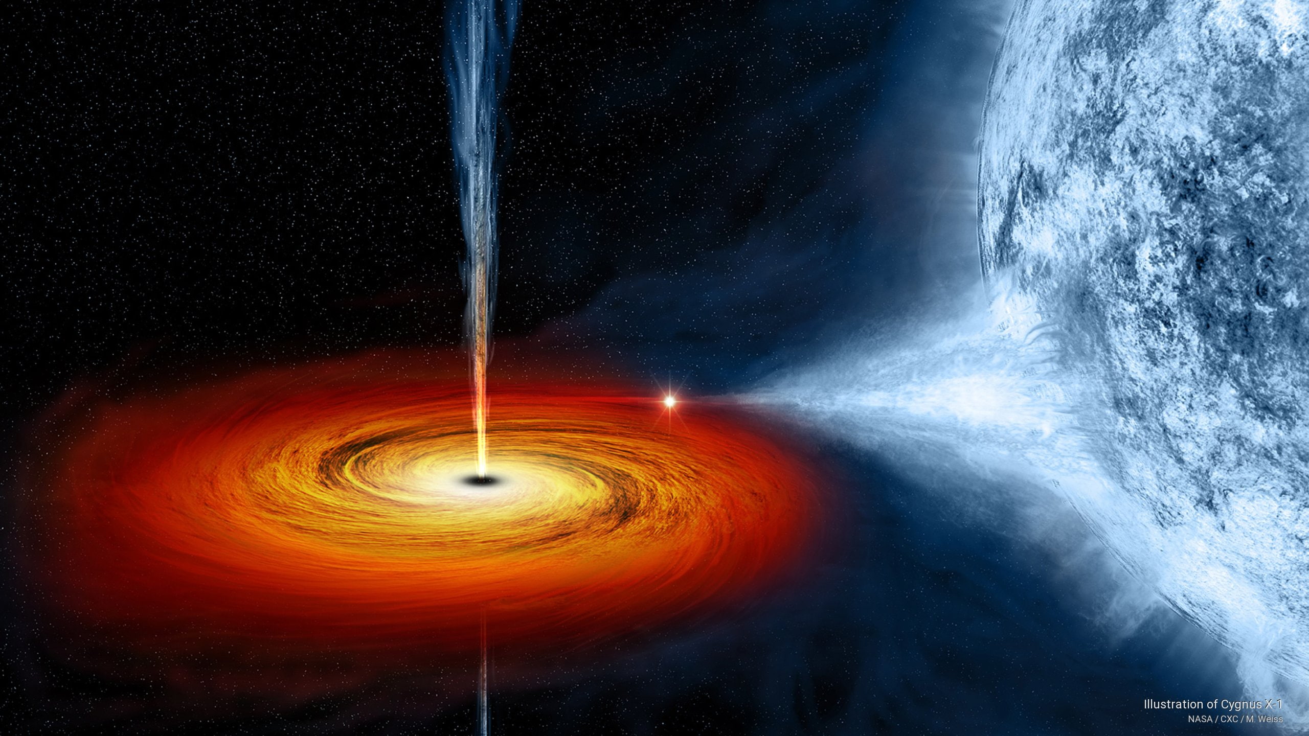 illustration, cygnus, Space, 2K, x, HD Wallpaper