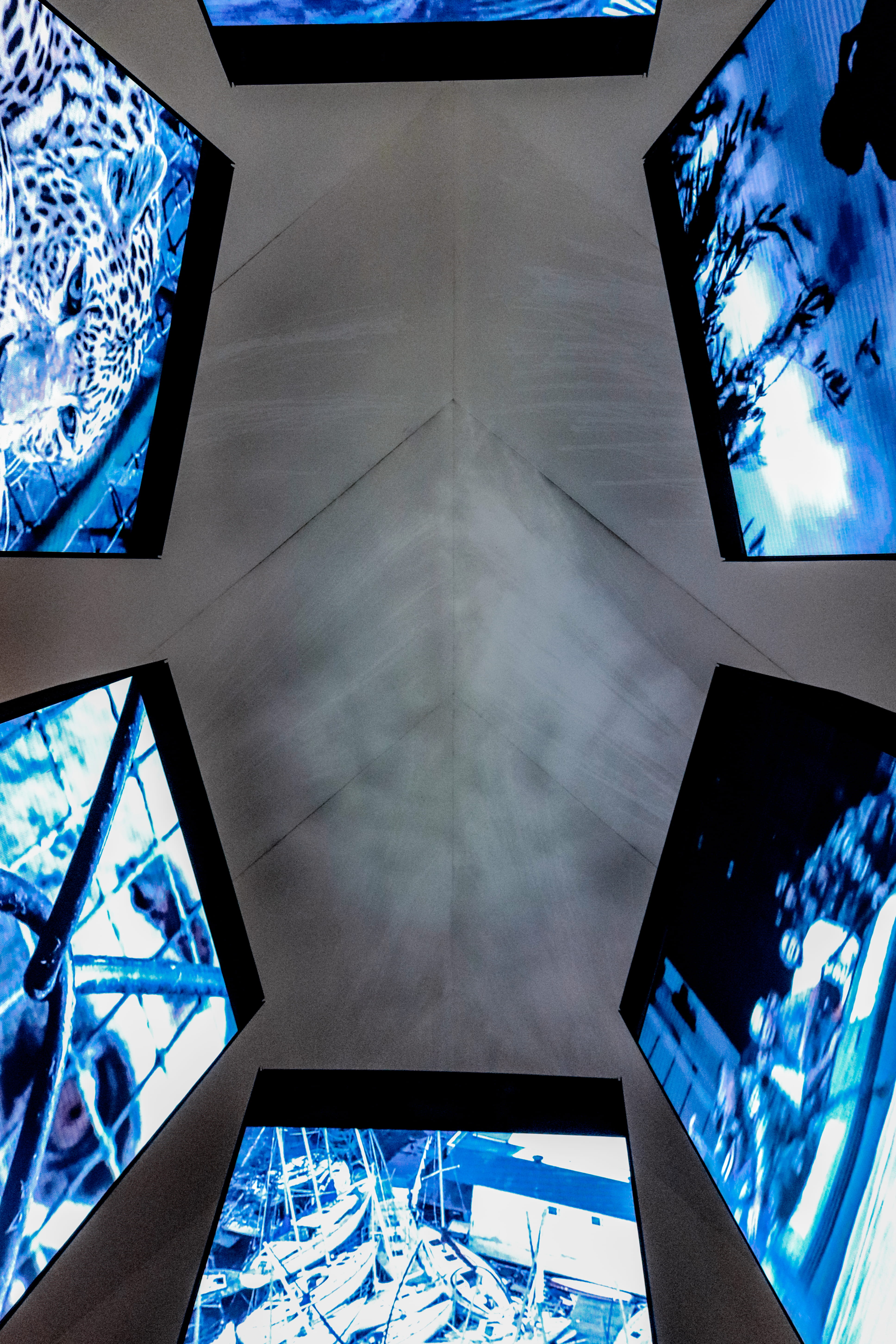 above, screens, digital, reflection, directly below, table, ceiling, no people, skyward, perspective, arrows, balance, blue, computer, museum of tomorrow, Phone HD Wallpaper
