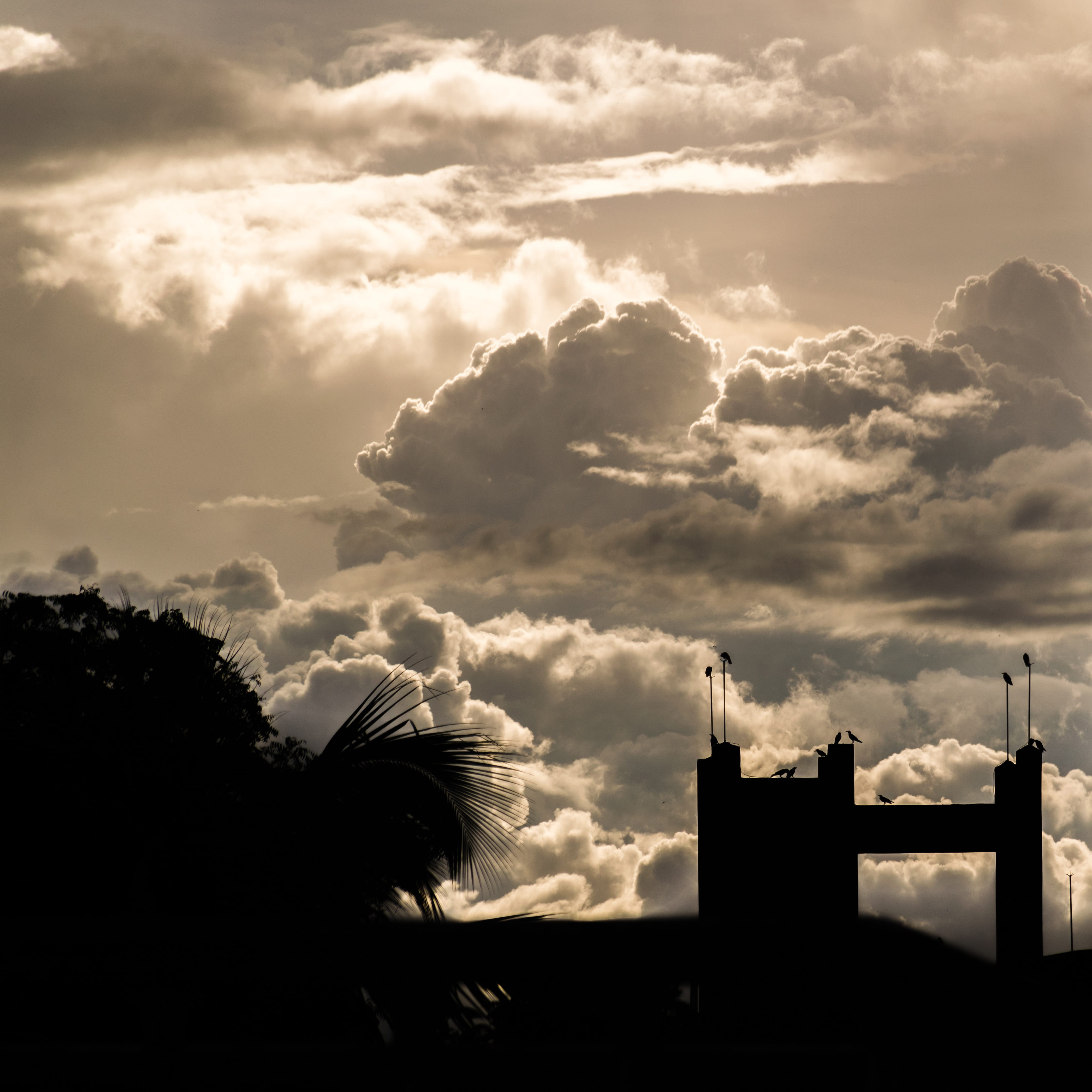 church, tree, 4K, iskyhub, cloudporn, Silhouette, built structure, skies, scenics - nature, sunlight, instasky, lookup, spirituality, nature, crazyclouds, Phone HD Wallpaper