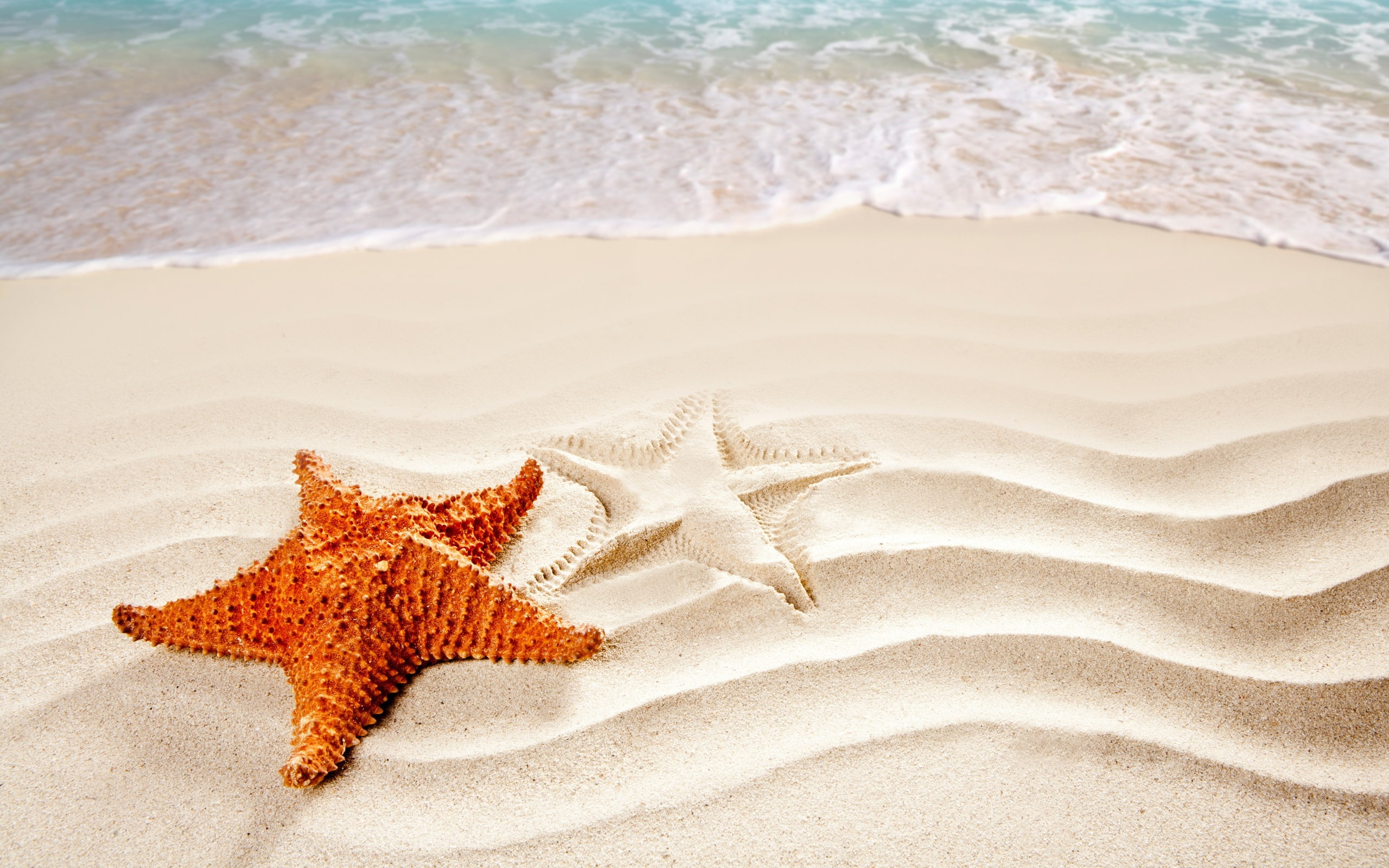 Surf, Sand, Beach, Starfish, 2K, HD Wallpaper