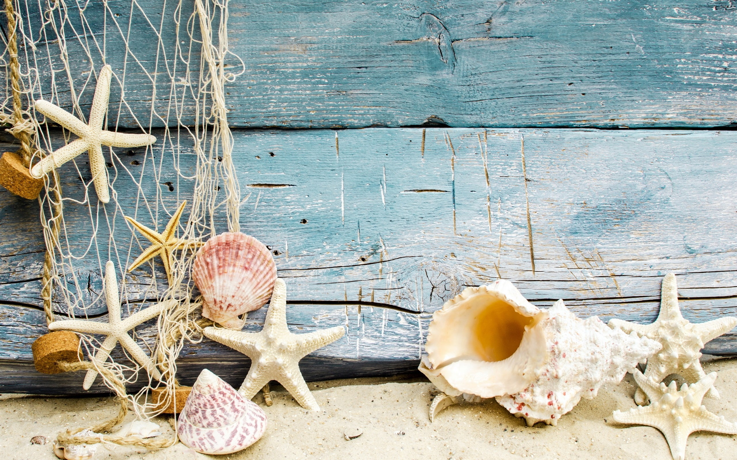 Sand, Seashells, Starfish, 2K, Wood, HD Wallpaper