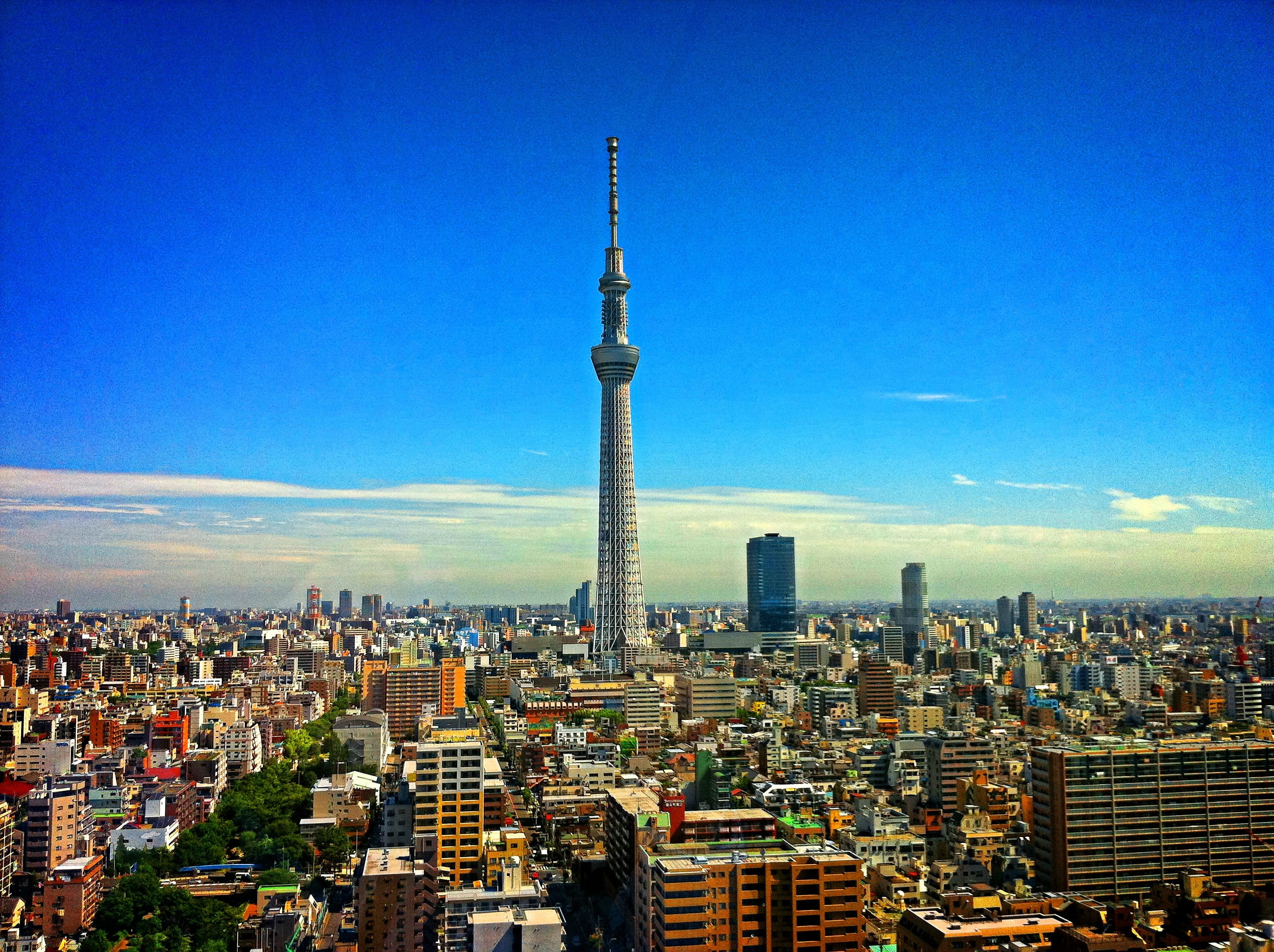 towers, public domain, famous Place, japan, Tokyo, architecture, tall - high, city, city Life, residential district, travel Destinations, photo, Cityview, HD Wallpaper