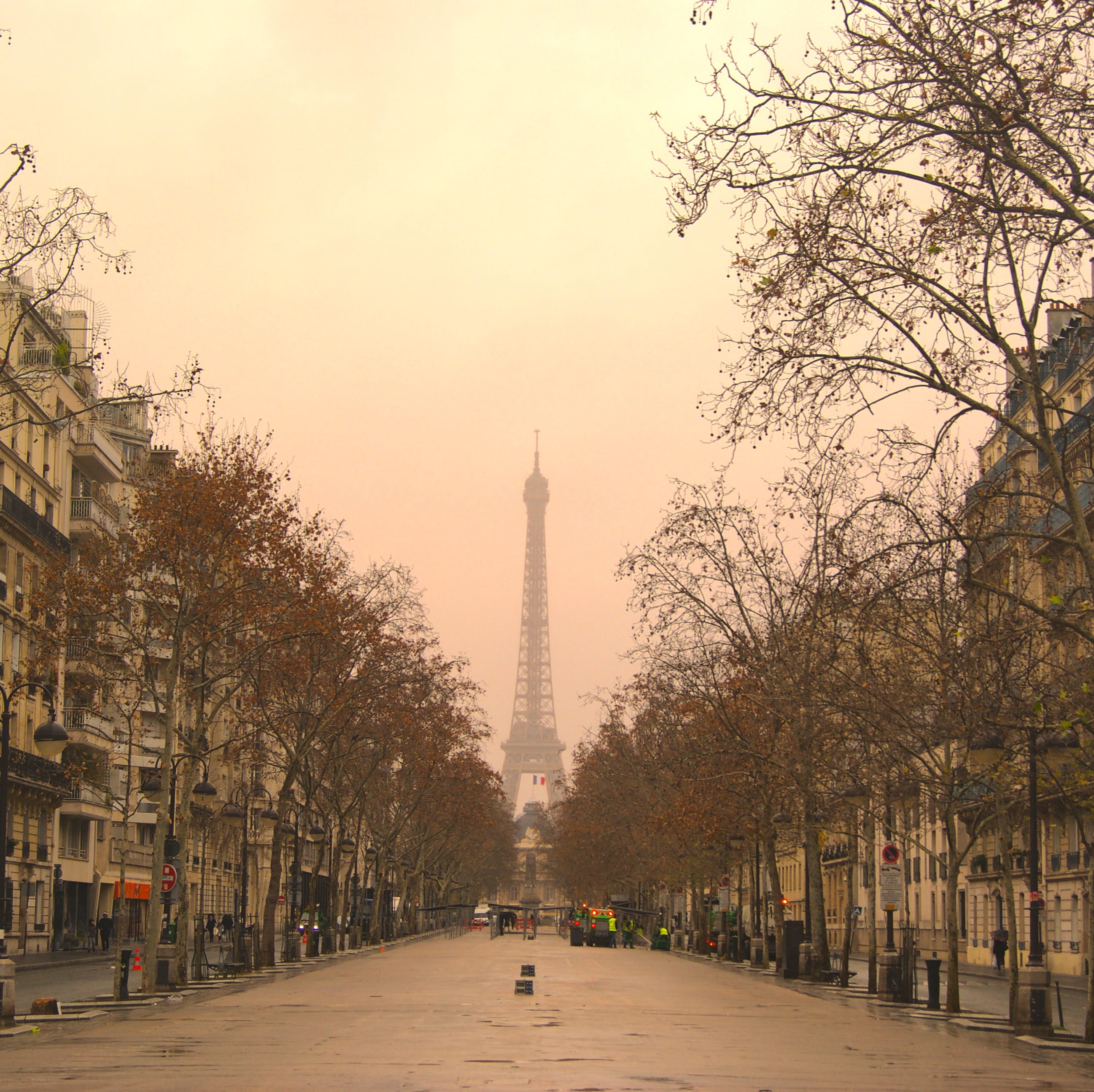 eiffeltower, history, the past, sky, tree, cityview, nature, travel, building, plant, tourism, souslecieldeparis, incidental people, city, travel destinations, HD Wallpaper