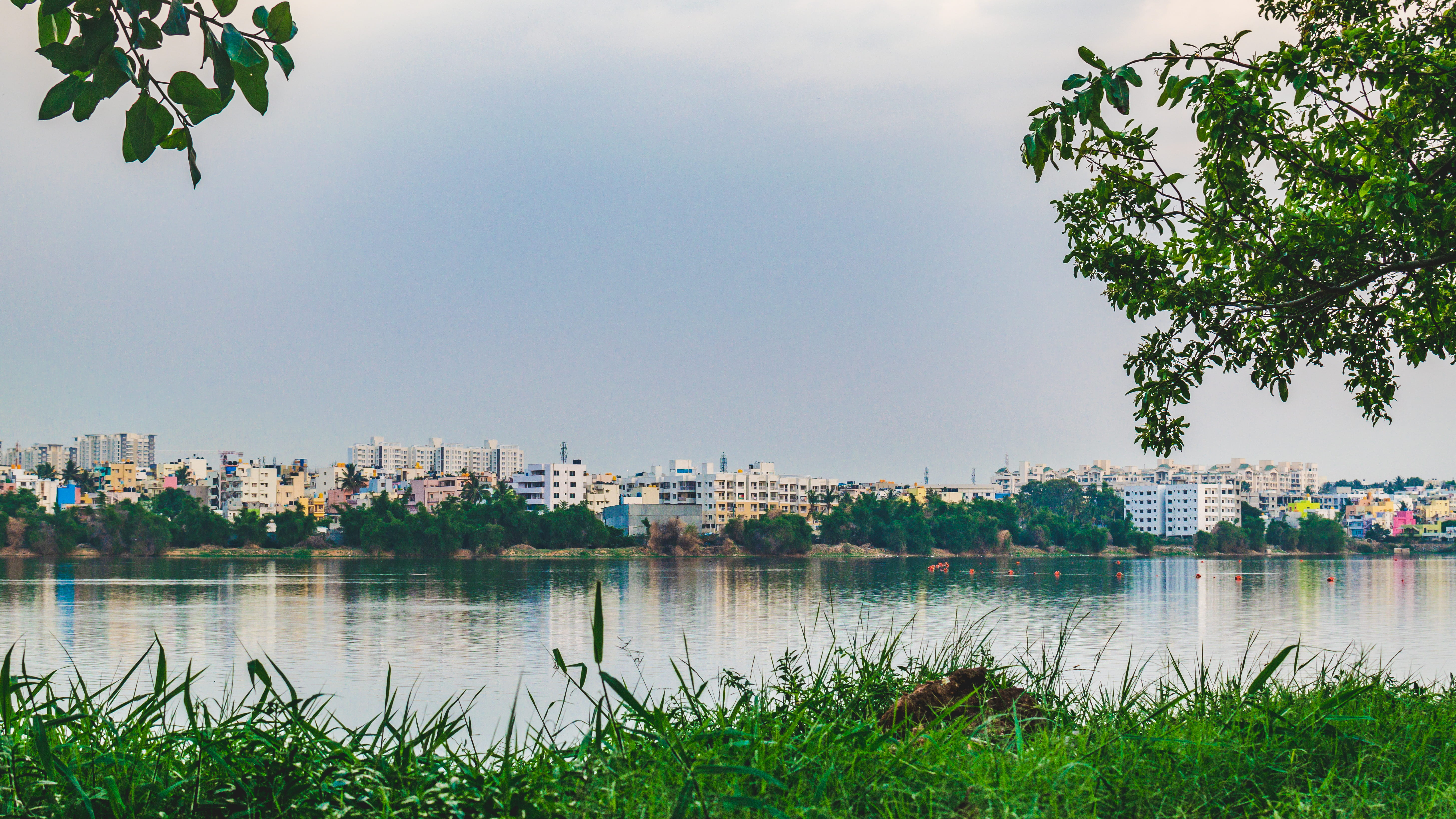 5K, no people, waterfront, outdoors, beautyinnature, sky, architecture, reflection, bengaluru, day, water, nature, evening, growth, lake, green, built structure, HD Wallpaper