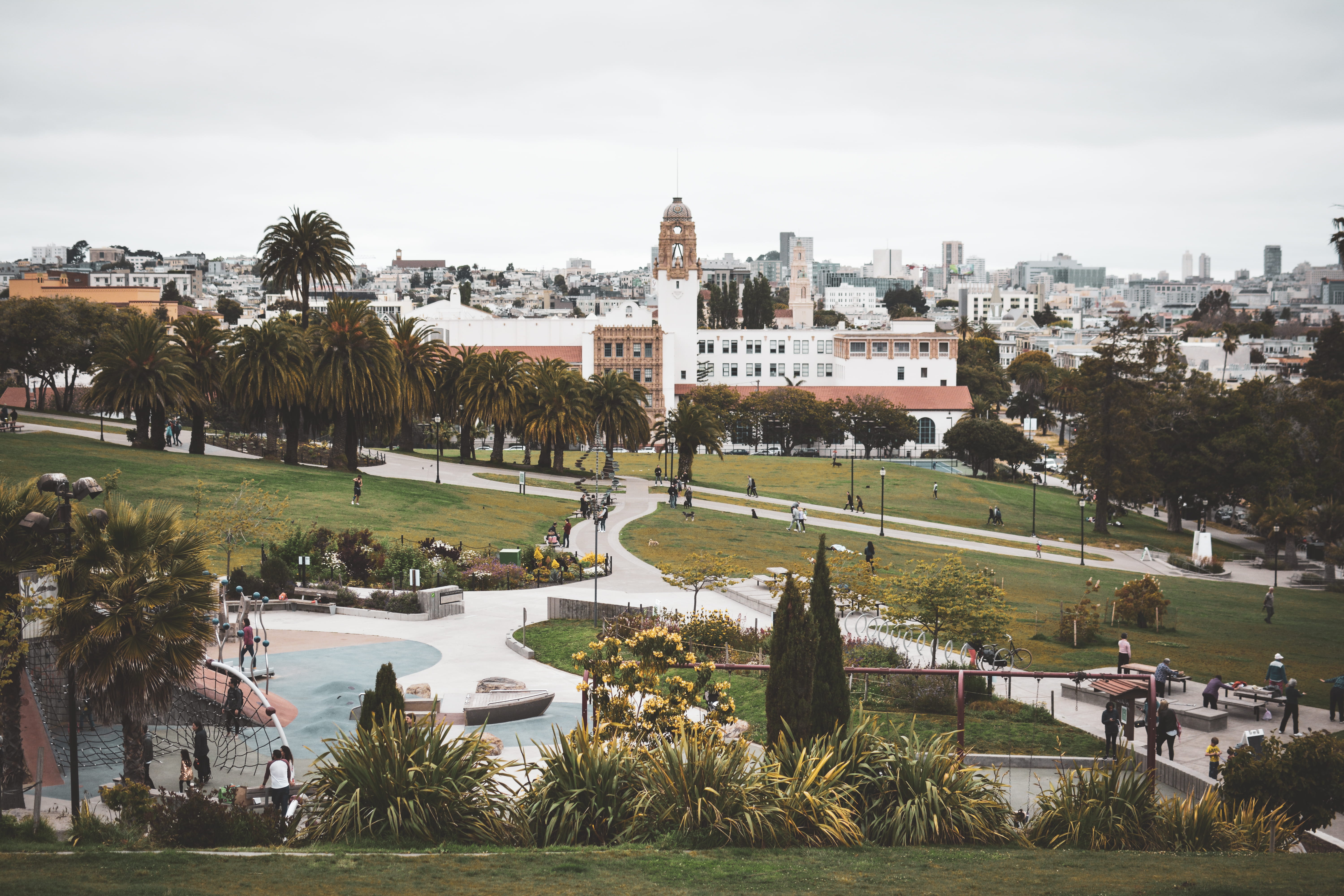 palm tree, park - man made space, water, sky, cityview, concrete, trees, urban, plaza, built structure, lake, incidental people, near, 5K, architecture, HD Wallpaper