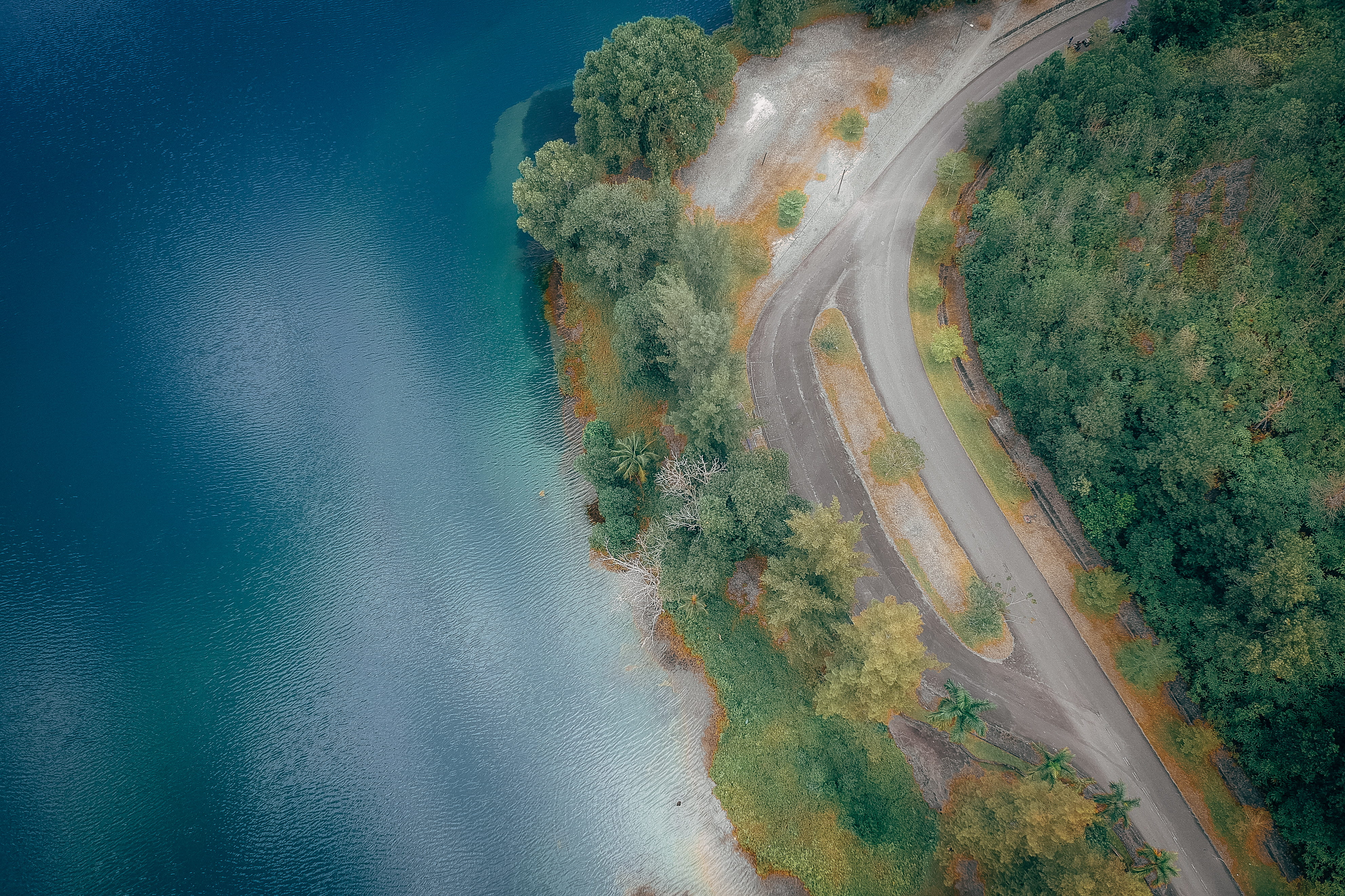 trees, outdoors, road, no people, plant, highway, scenics - nature, high angle view, drone shot, field, aerial, expressway, land, drone photography, birds eye view, HD Wallpaper